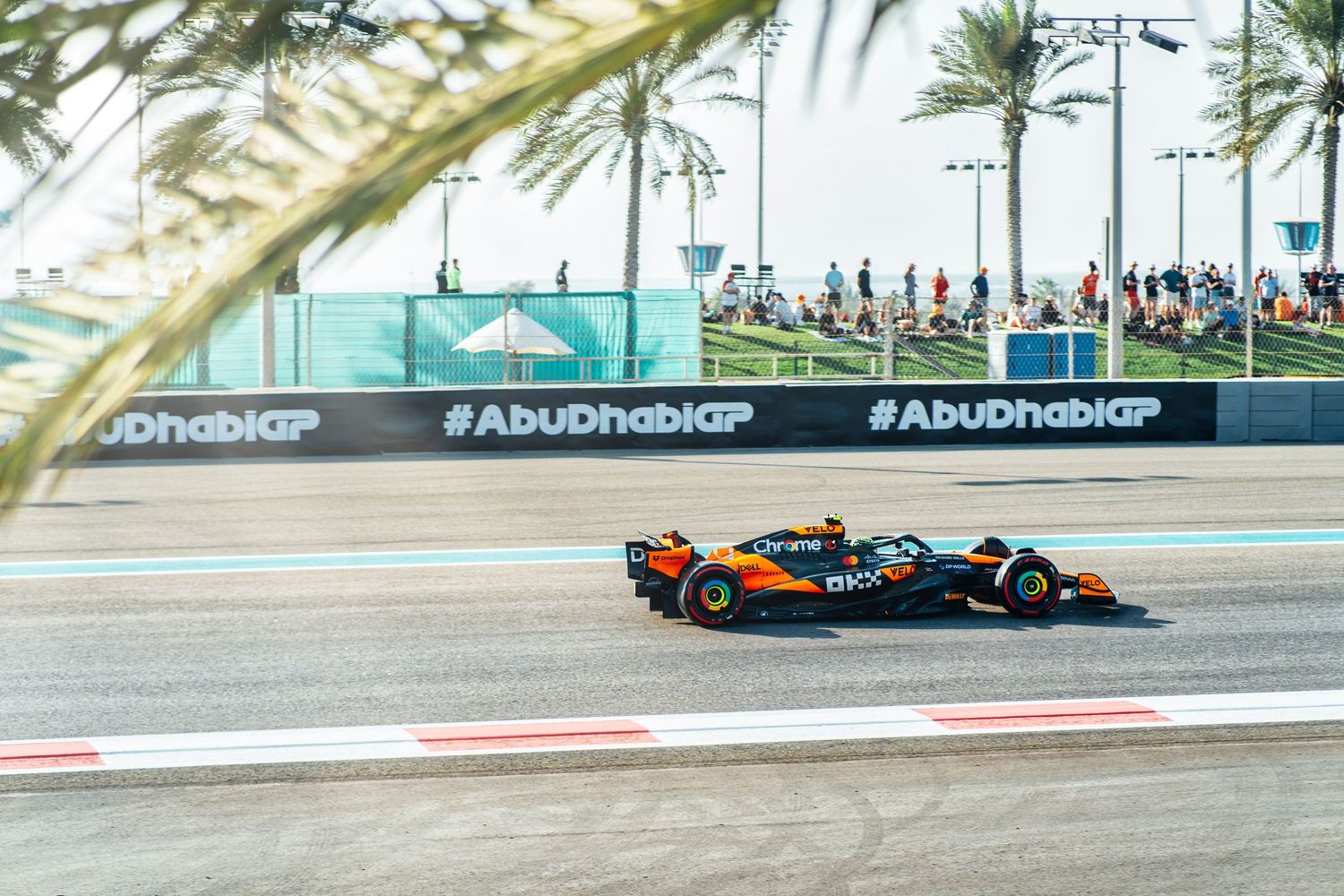 McLaren Formula 1 car racing along the Abu Dhabi Grand Prix circuit lined with palm trees.