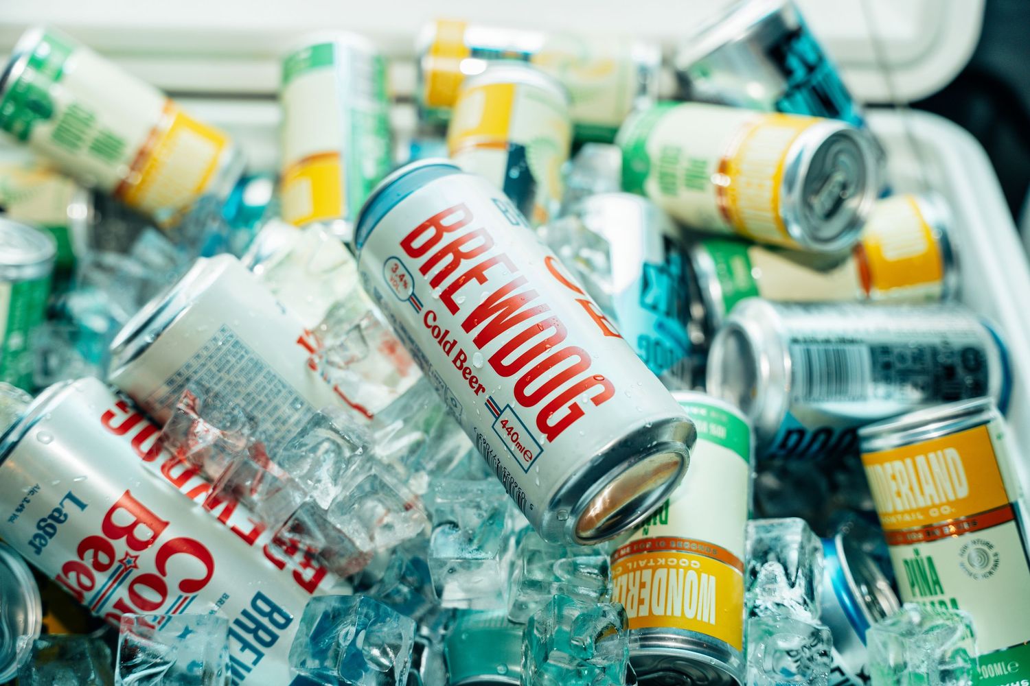 Assorted canned craft beers and beverages chilling on ice in a cooler.