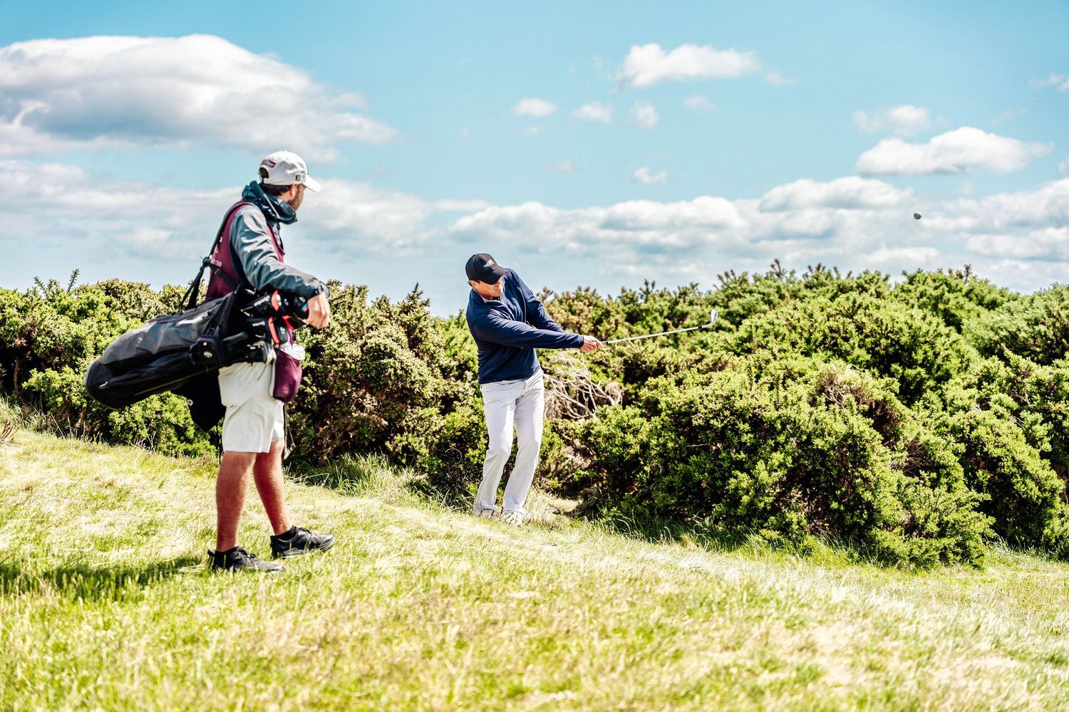 A golfer and caddie search for a ball in thick heather rough on a sunny links golf course.