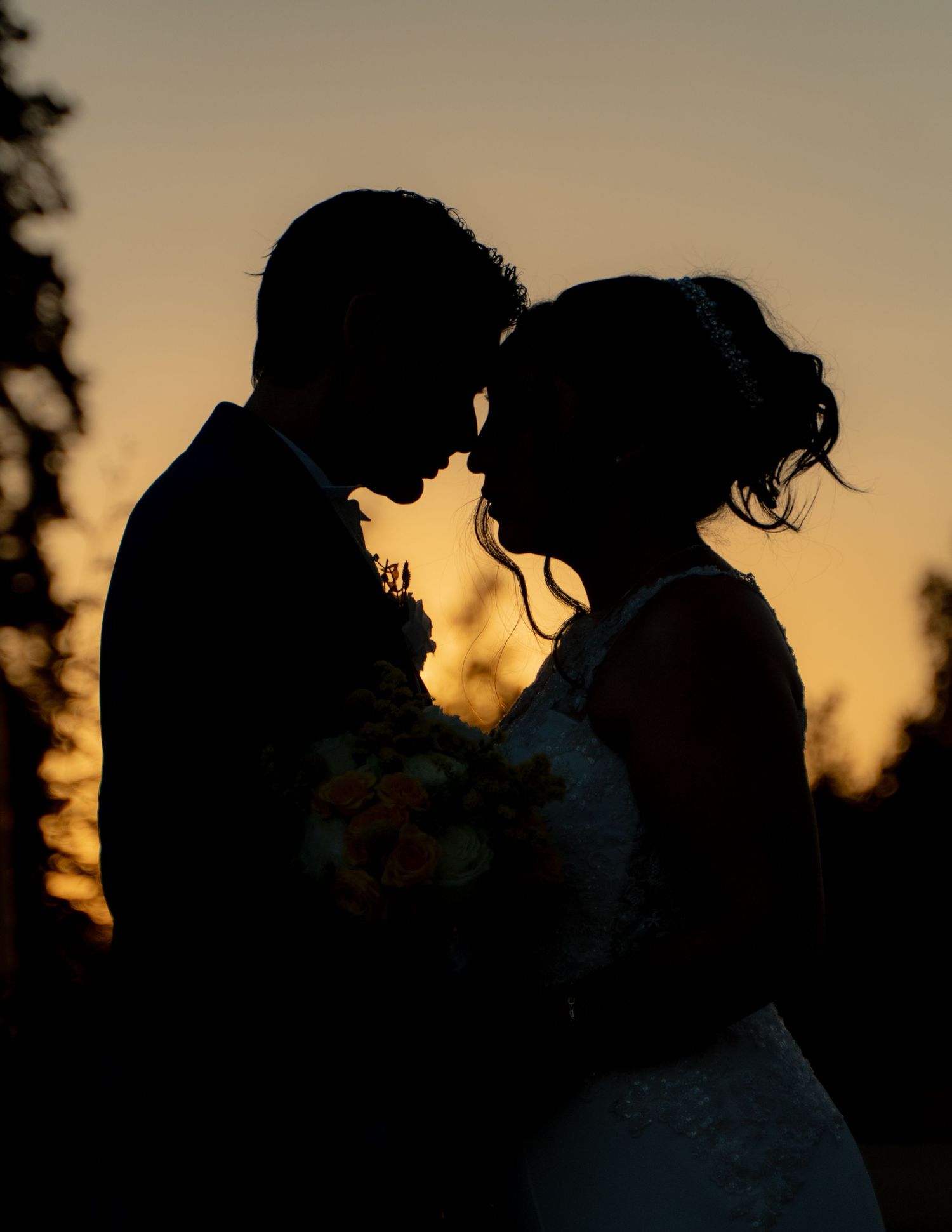 Silhouette of couple embracing against sunset sky with trees in background.