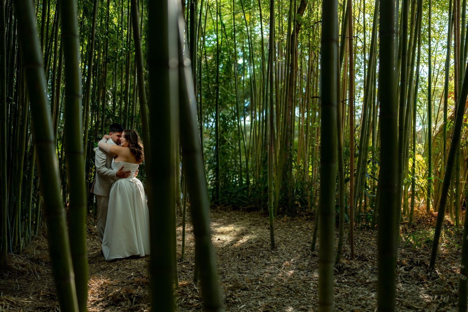 Bride and groom share a romantic kiss surrounded by tall bamboo trees in lush forest.