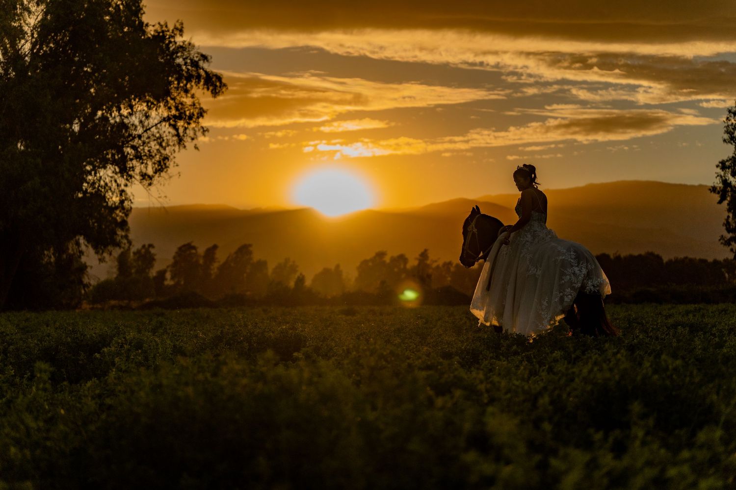 Silhouette of a horse rider against a golden sunset over rolling hills with dramatic clouds in the sky.