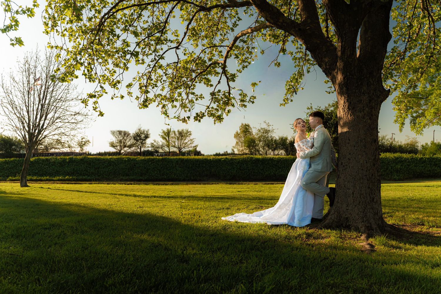 A romantic wedding couple embraces under a large tree in a sunlit garden setting.