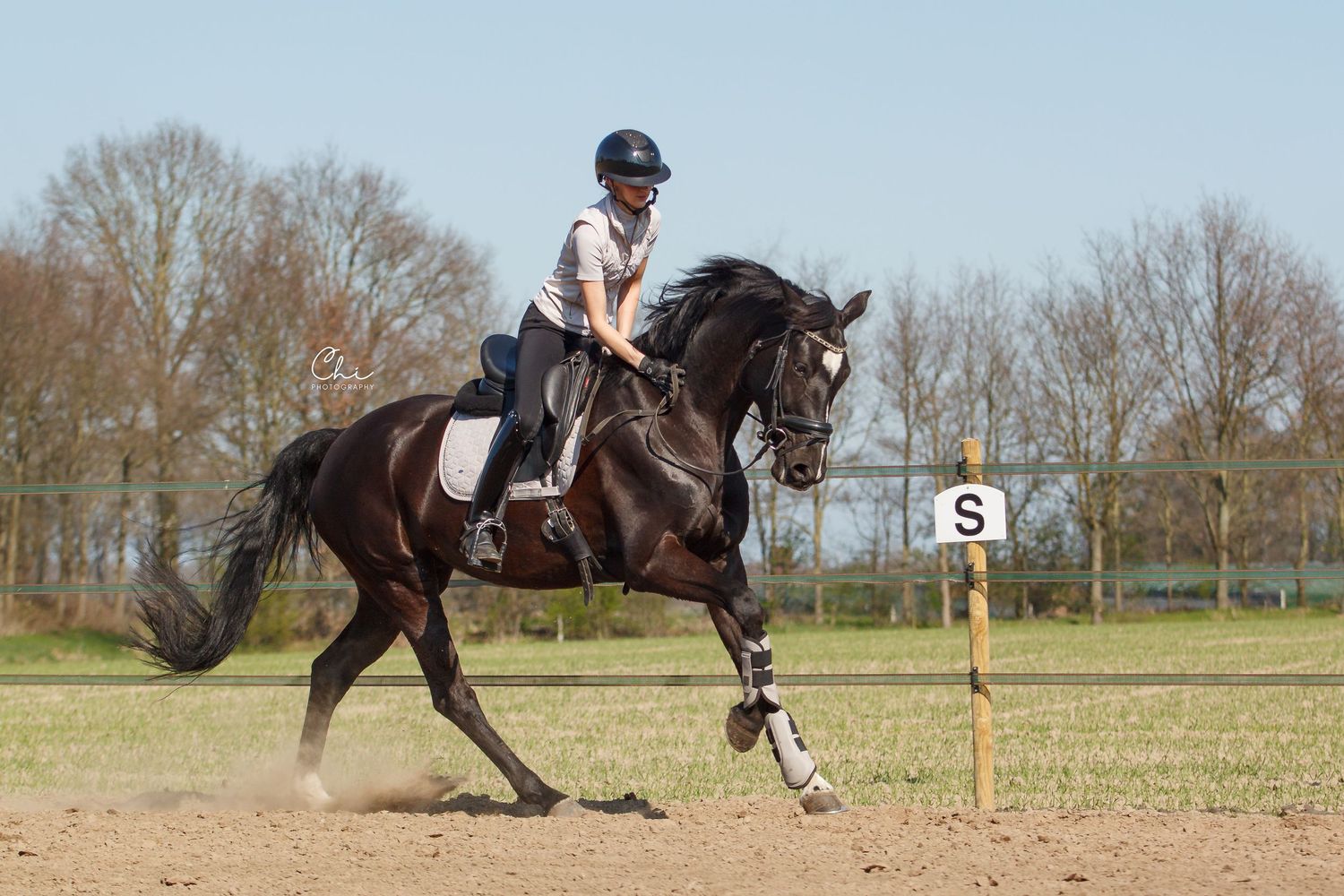 Rider in helmet cantering black horse past dressage marker S in outdoor arena.