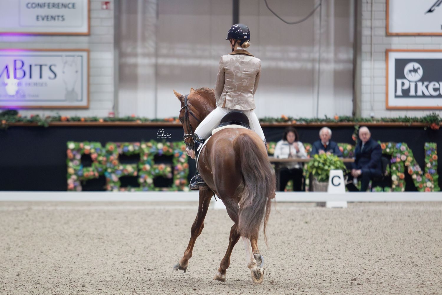 Elegant dressage rider on chestnut horse performing in indoor arena competition.