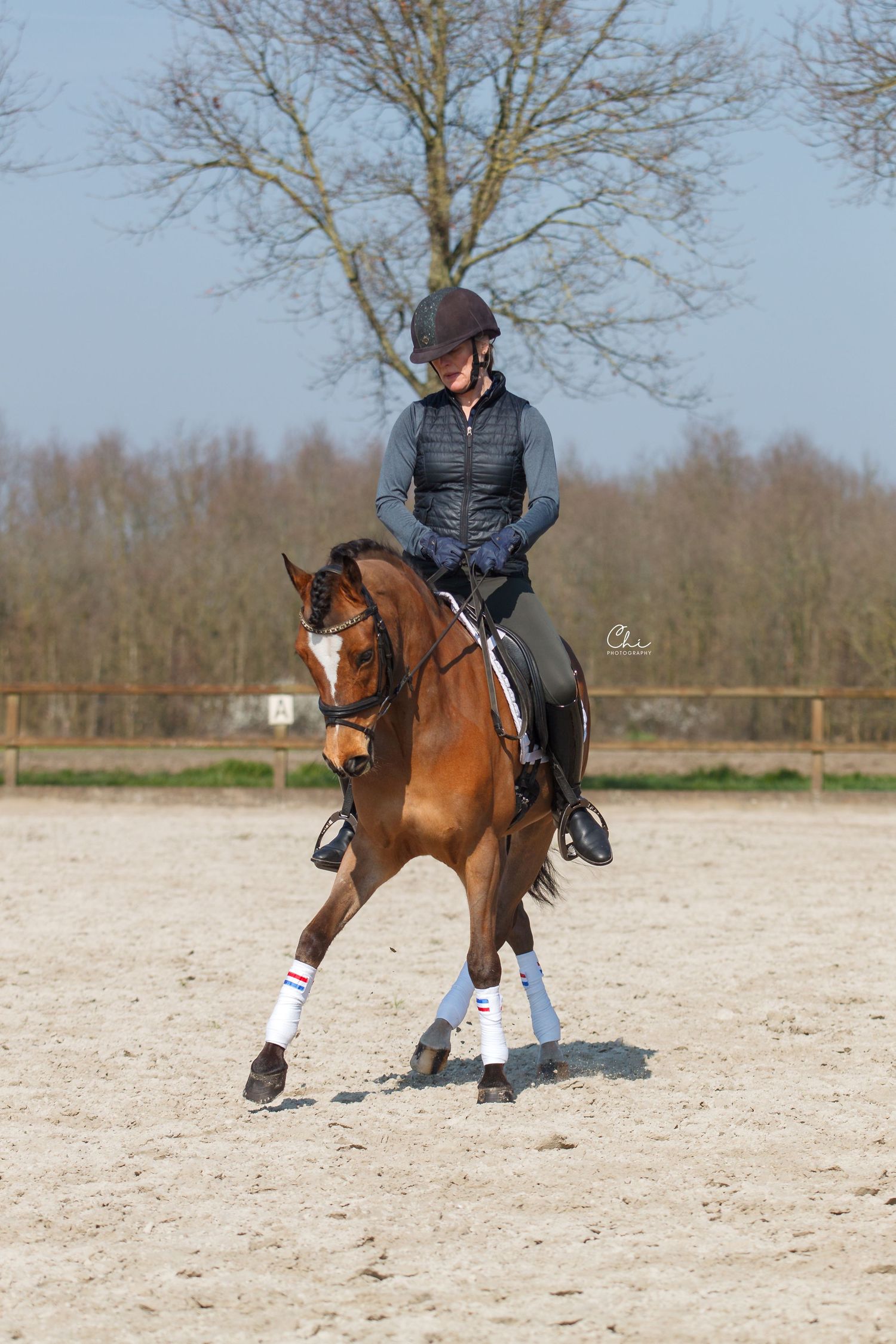 Equestrian rider in blue vest cantering a chestnut horse with white leg wraps in outdoor arena.