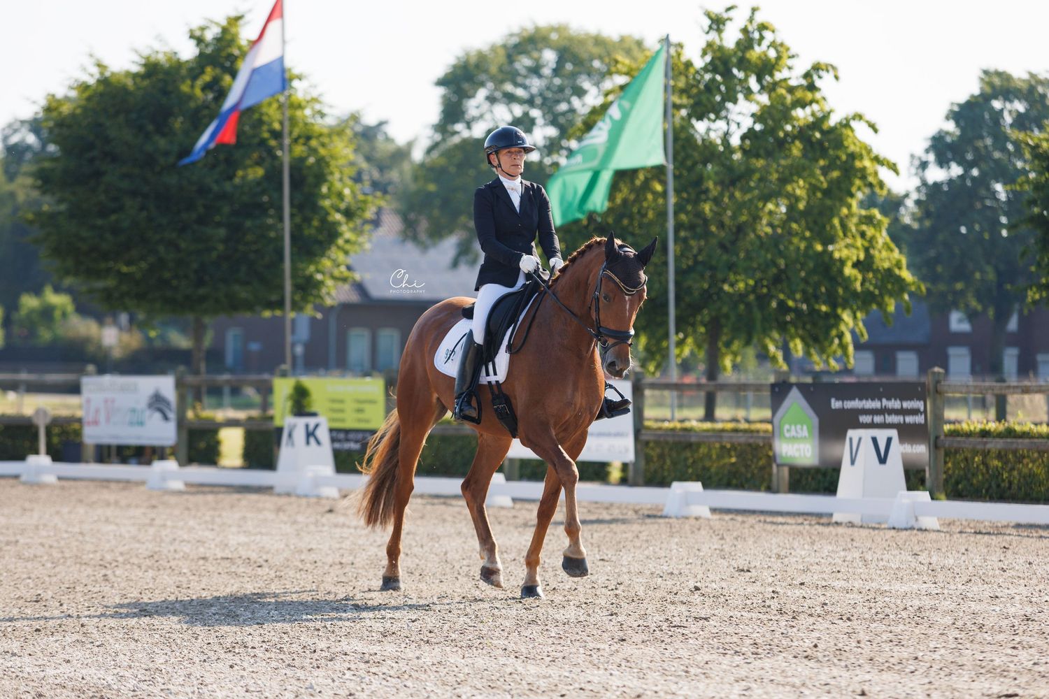 Rider in formal attire performs dressage on a chestnut horse in an outdoor arena with flags and greenery.