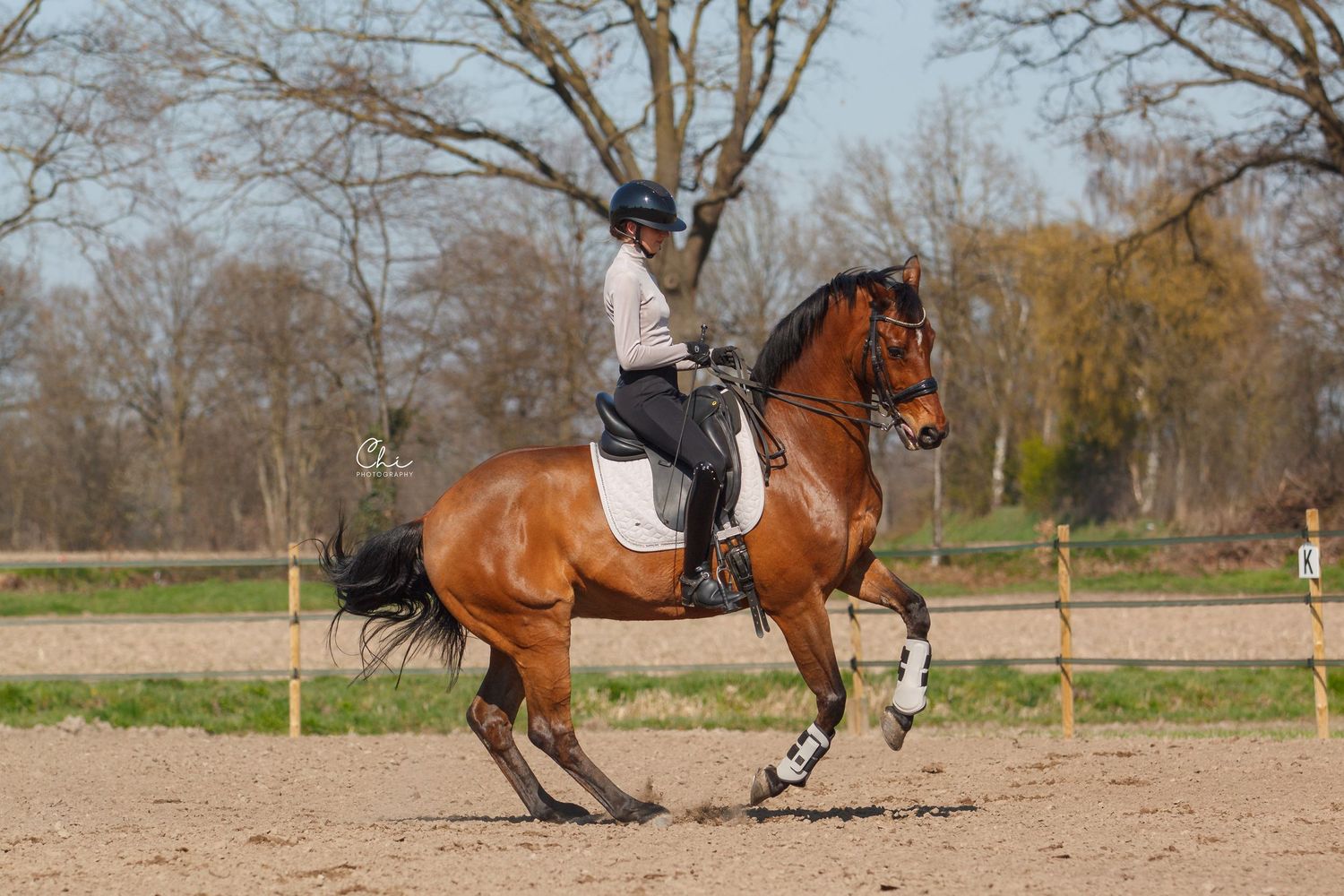 Rider performing dressage on bay horse in outdoor sand arena with bare trees in background.