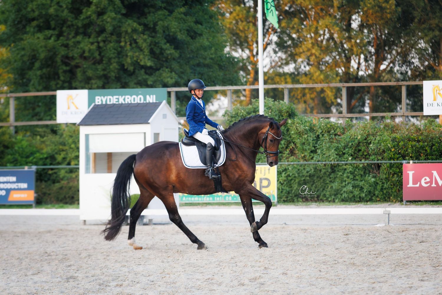 Rider in blue jacket performing dressage on a bay horse at an outdoor equestrian competition arena.