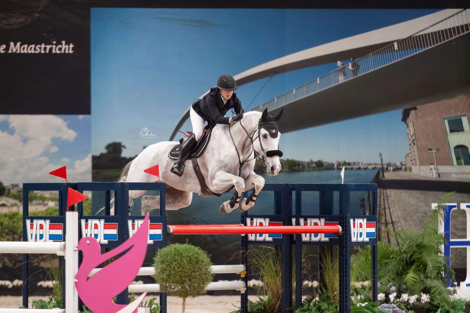 Equestrian rider on white horse jumping over colorful hurdles at show jumping competition.