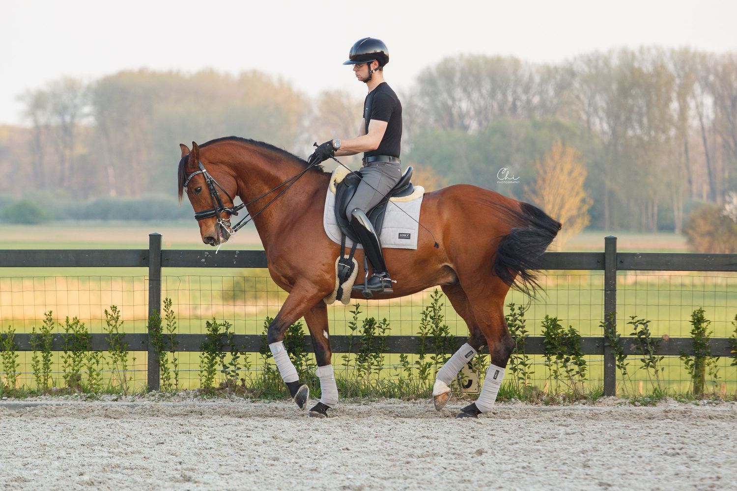 Male rider in black outfit performing dressage on a chestnut horse in a sandy outdoor arena.