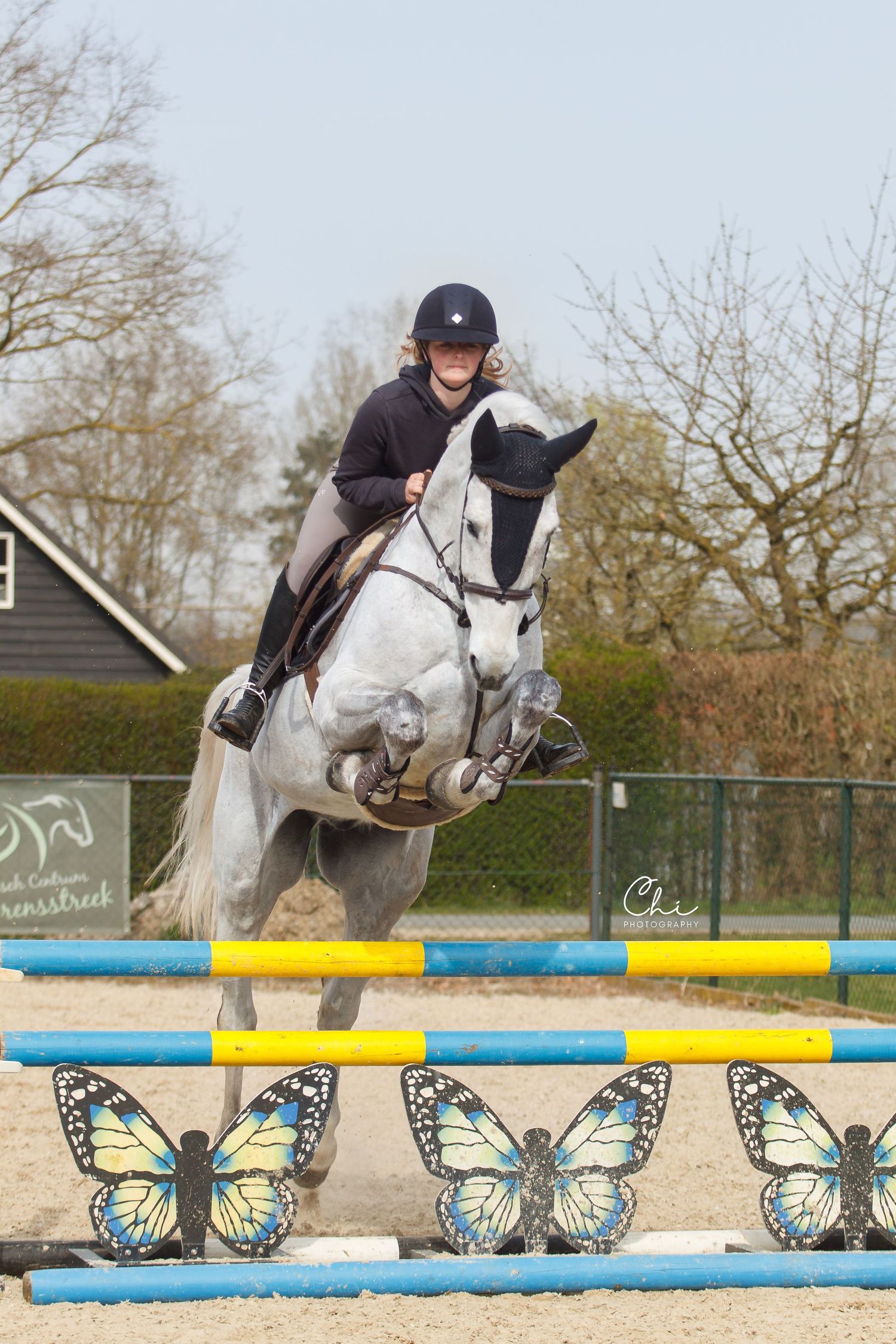 Equestrian rider on grey horse jumping over colorful poles with butterfly decorations in outdoor arena.