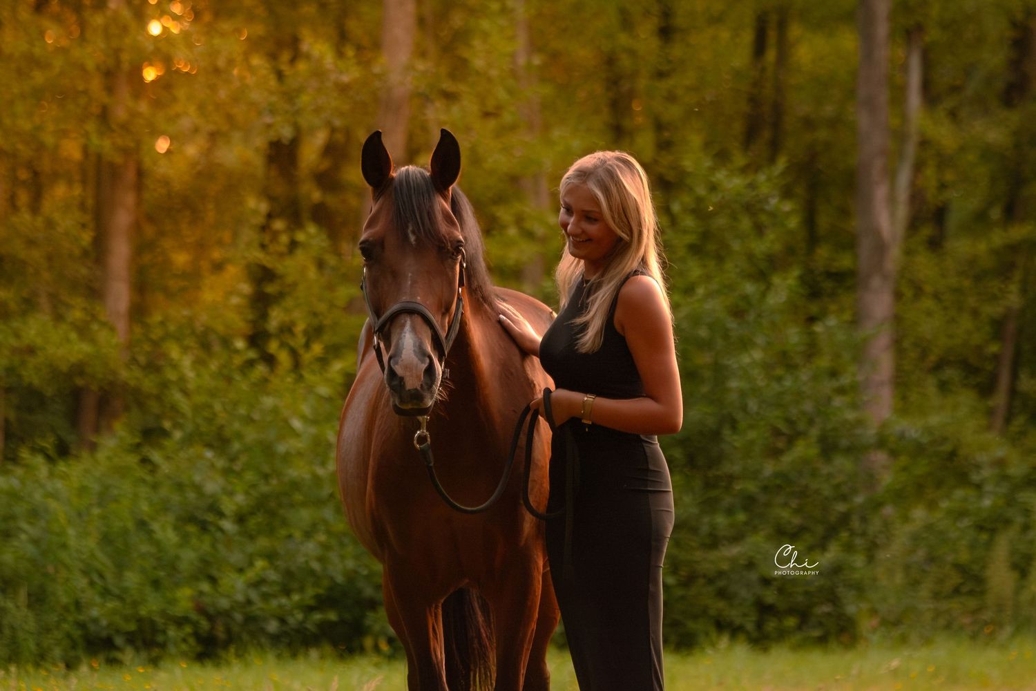 Blonde woman grooming chestnut horse in golden evening light near autumn trees.