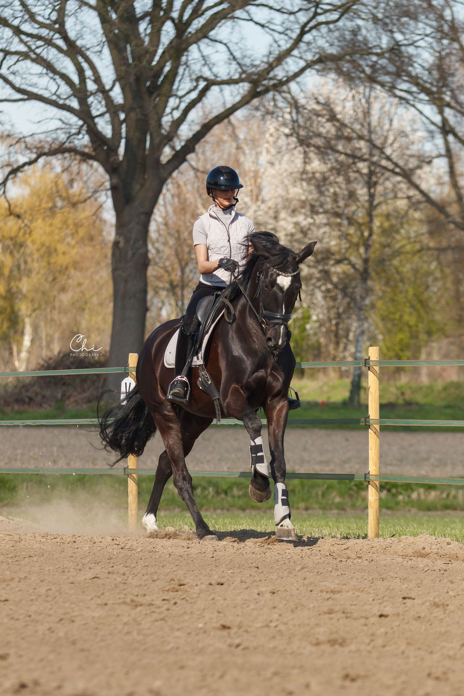Rider in helmet cantering dark bay horse in outdoor sand arena surrounded by autumn trees.