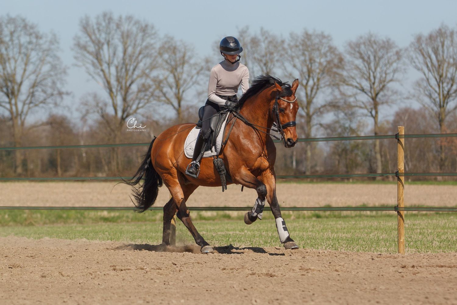 Rider on bay horse performing canter in outdoor dressage arena on sunny day.