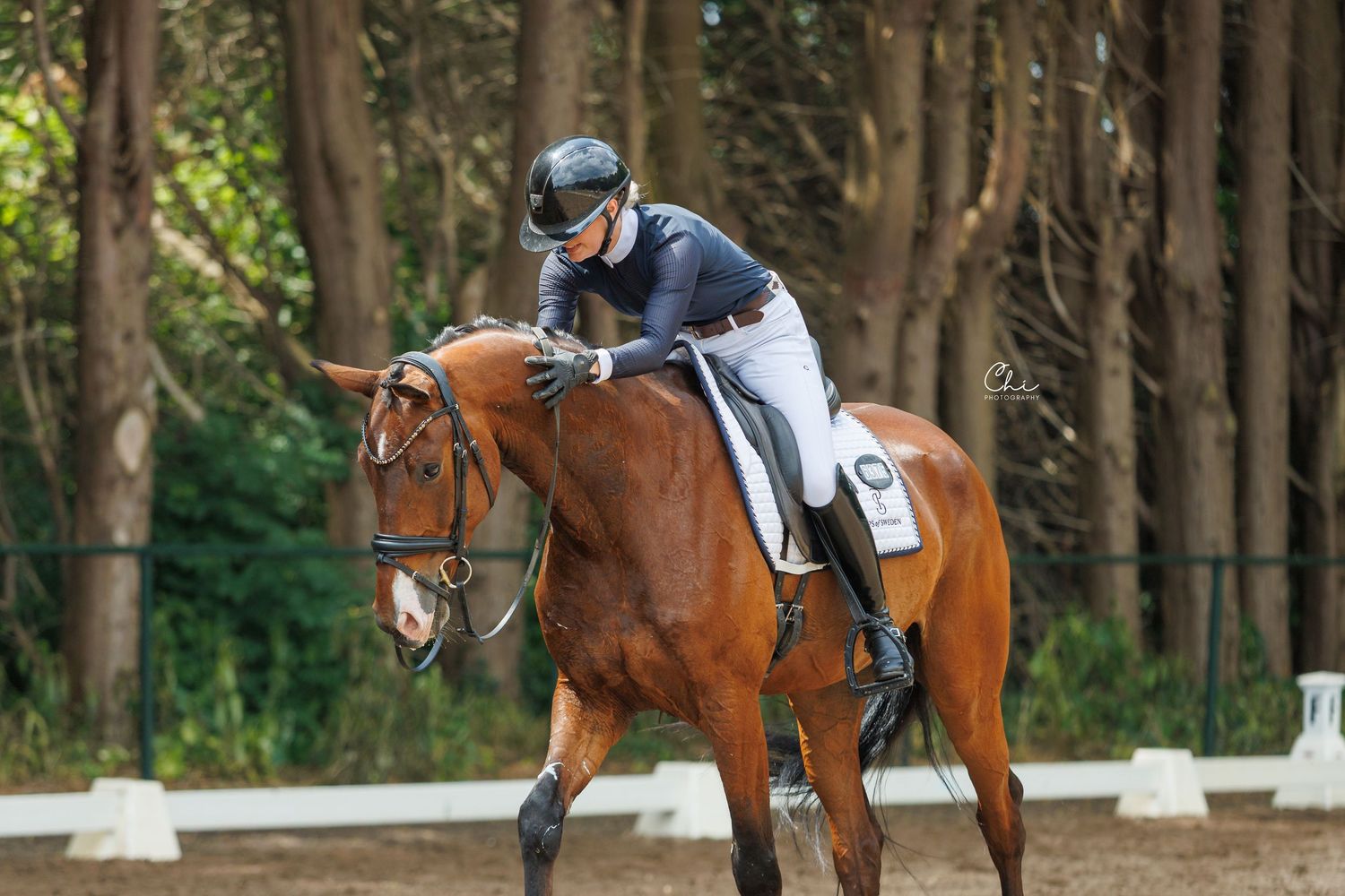 Equestrian rider in black helmet and navy jacket on a chestnut horse during a dressage competition outdoors.