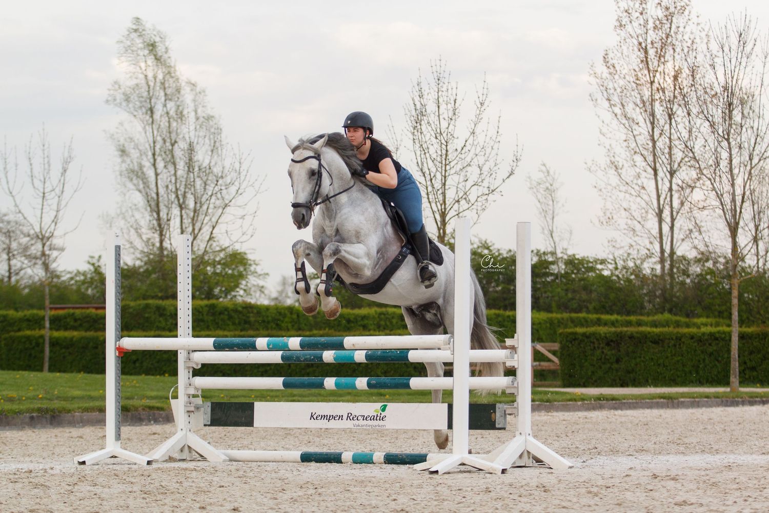 Equestrian rider jumping a grey horse over colorful show jumping poles in an outdoor arena.