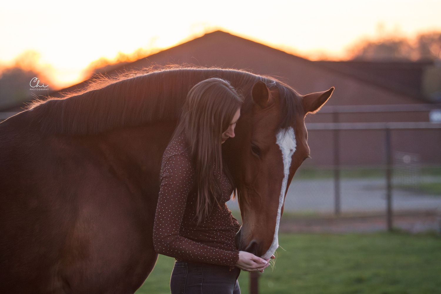 Woman gently bonding with a chestnut horse with a white blaze during a glowing sunset.