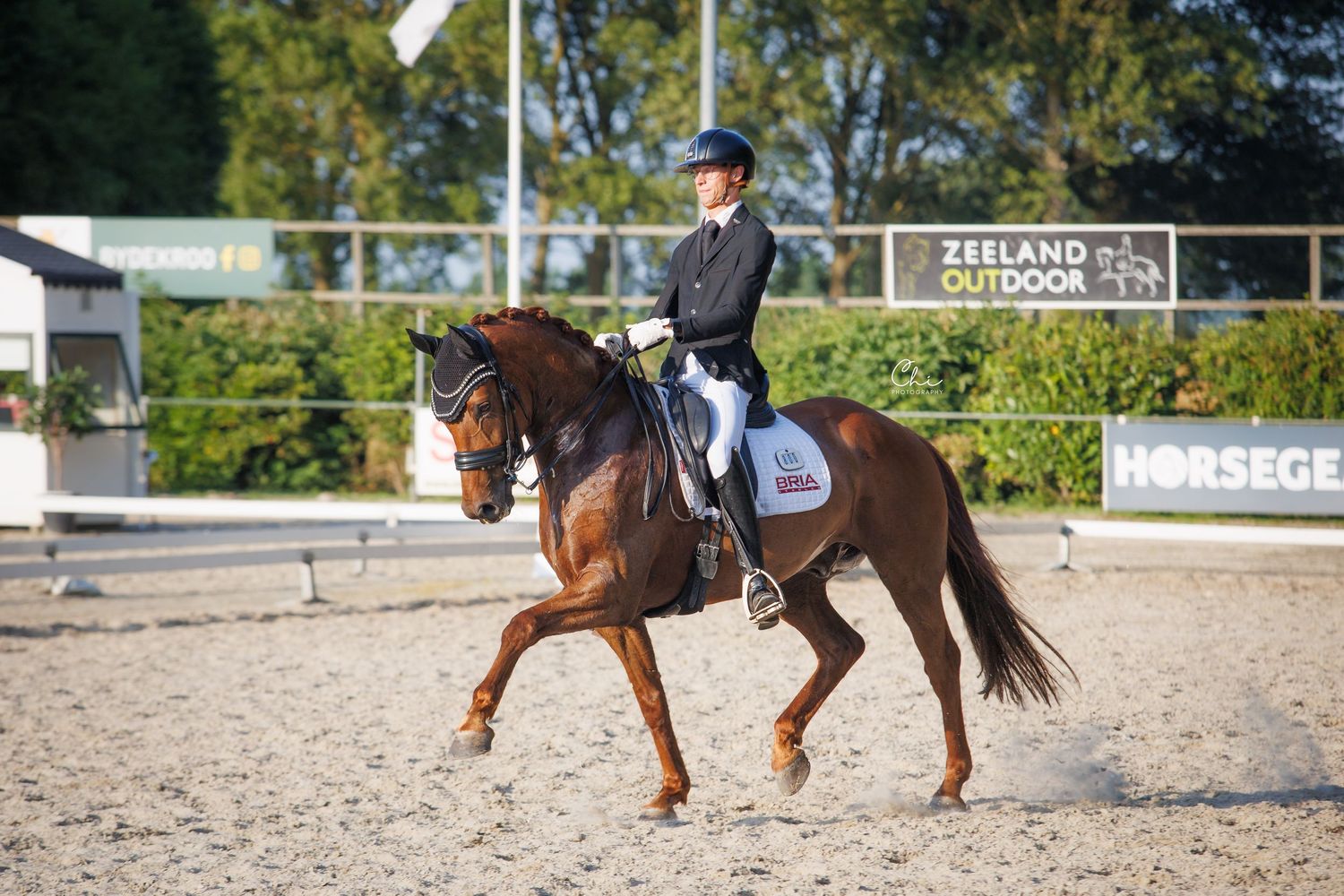 Equestrian rider in blue jacket performing dressage on a chestnut horse at an outdoor competition arena.