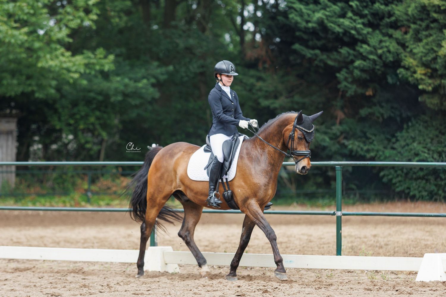 A rider in black jacket and helmet performs dressage on a bay horse in a sandy arena surrounded by green trees.