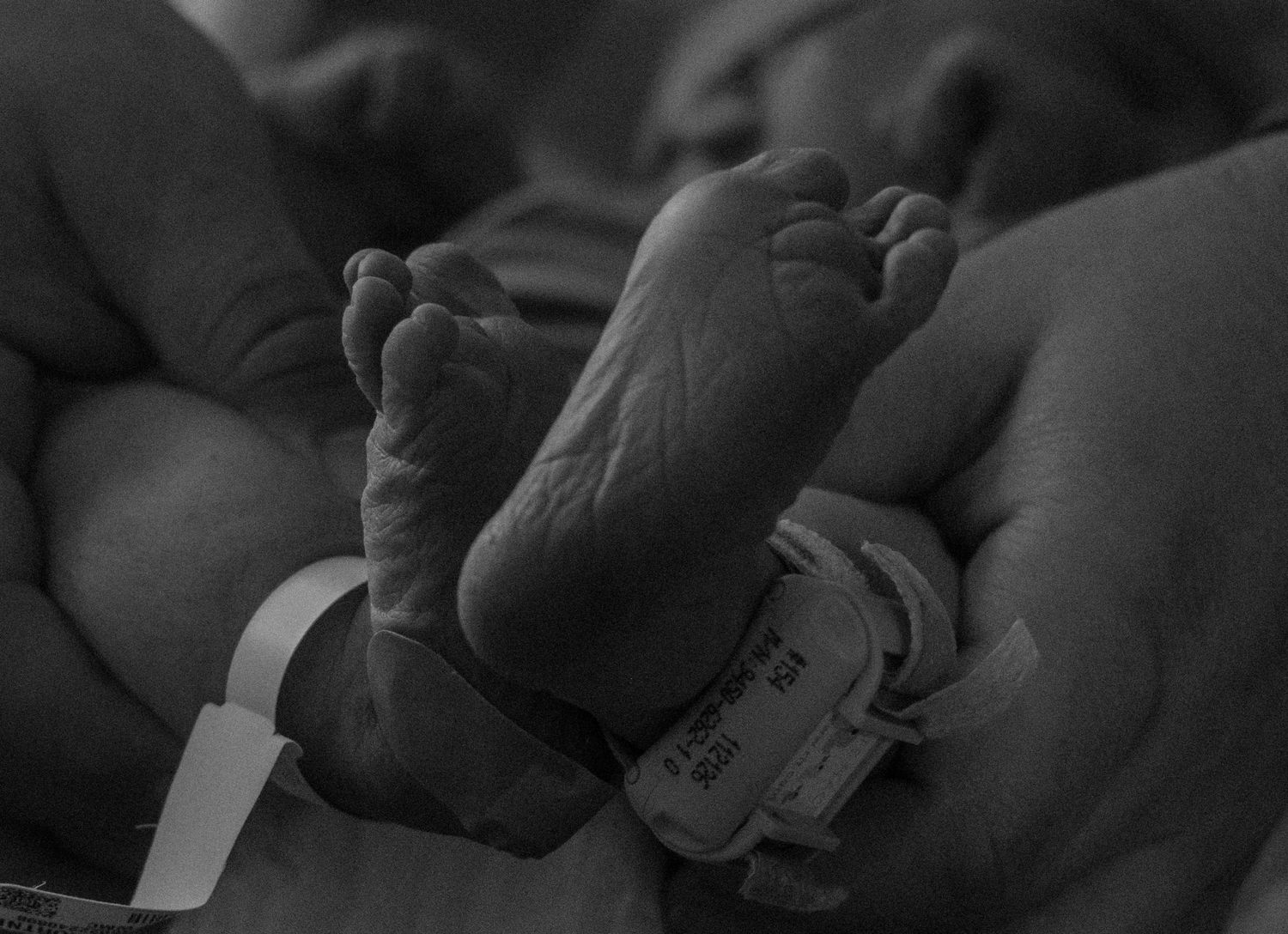 Black and white close-up of newborn baby feet held by adult hands with hospital ID bracelet.