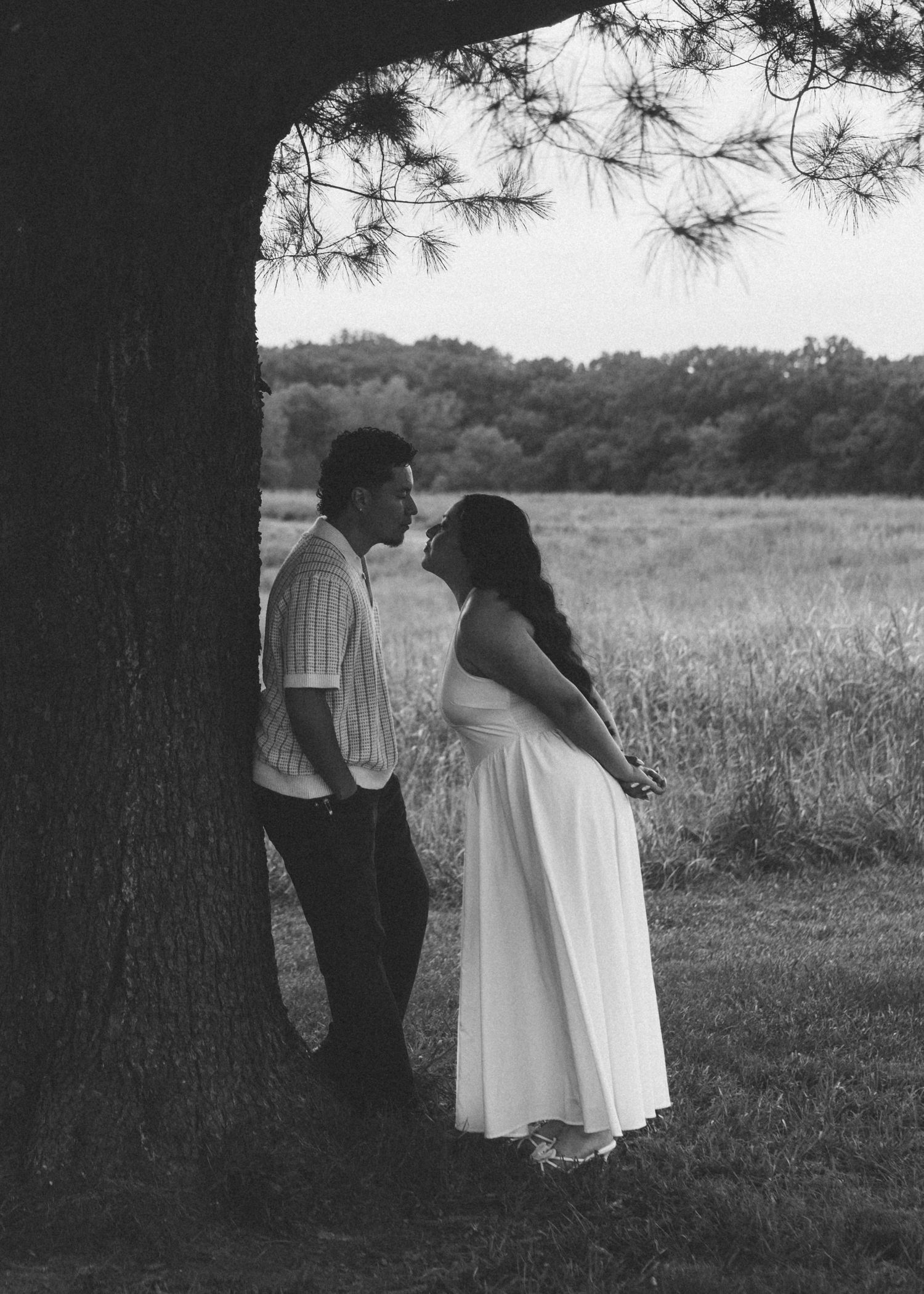 Black and white photo of a couple sharing a romantic moment under a pine tree in an open field.