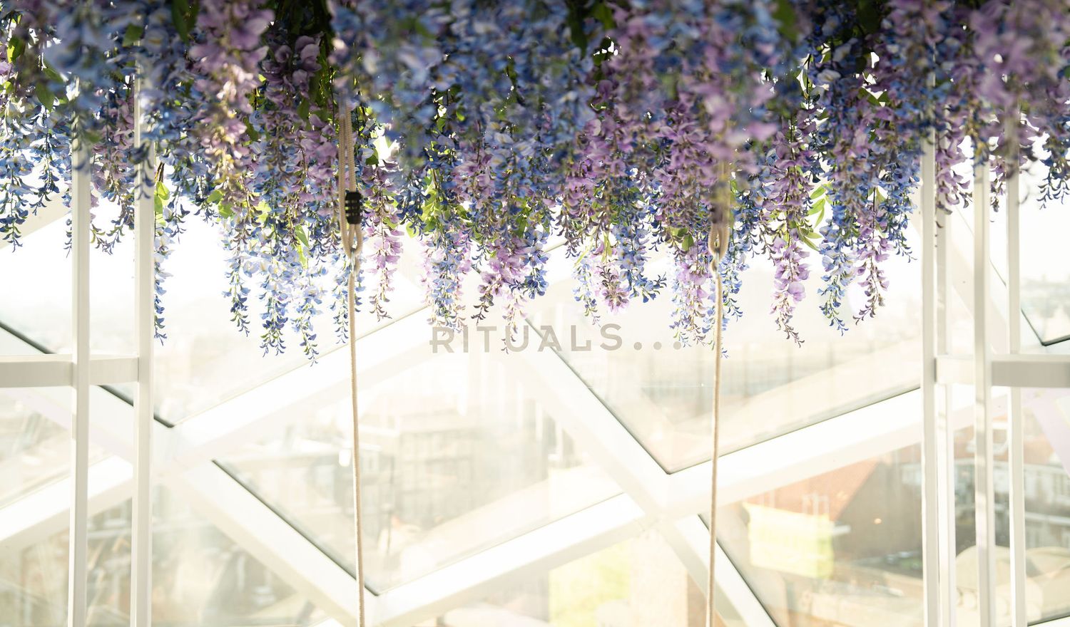 Purple wisteria flowers cascade from ceiling above Rituals store entrance with bright natural light through windows.
