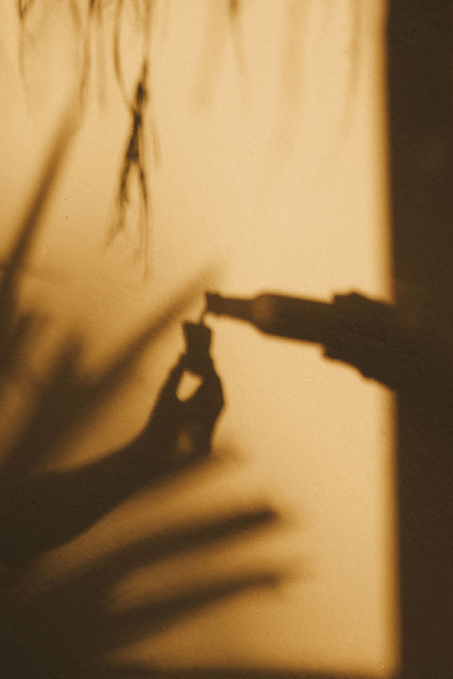 Shadow of hands holding small figurine and bottle cast on warm golden wall with tropical plant silhouettes.