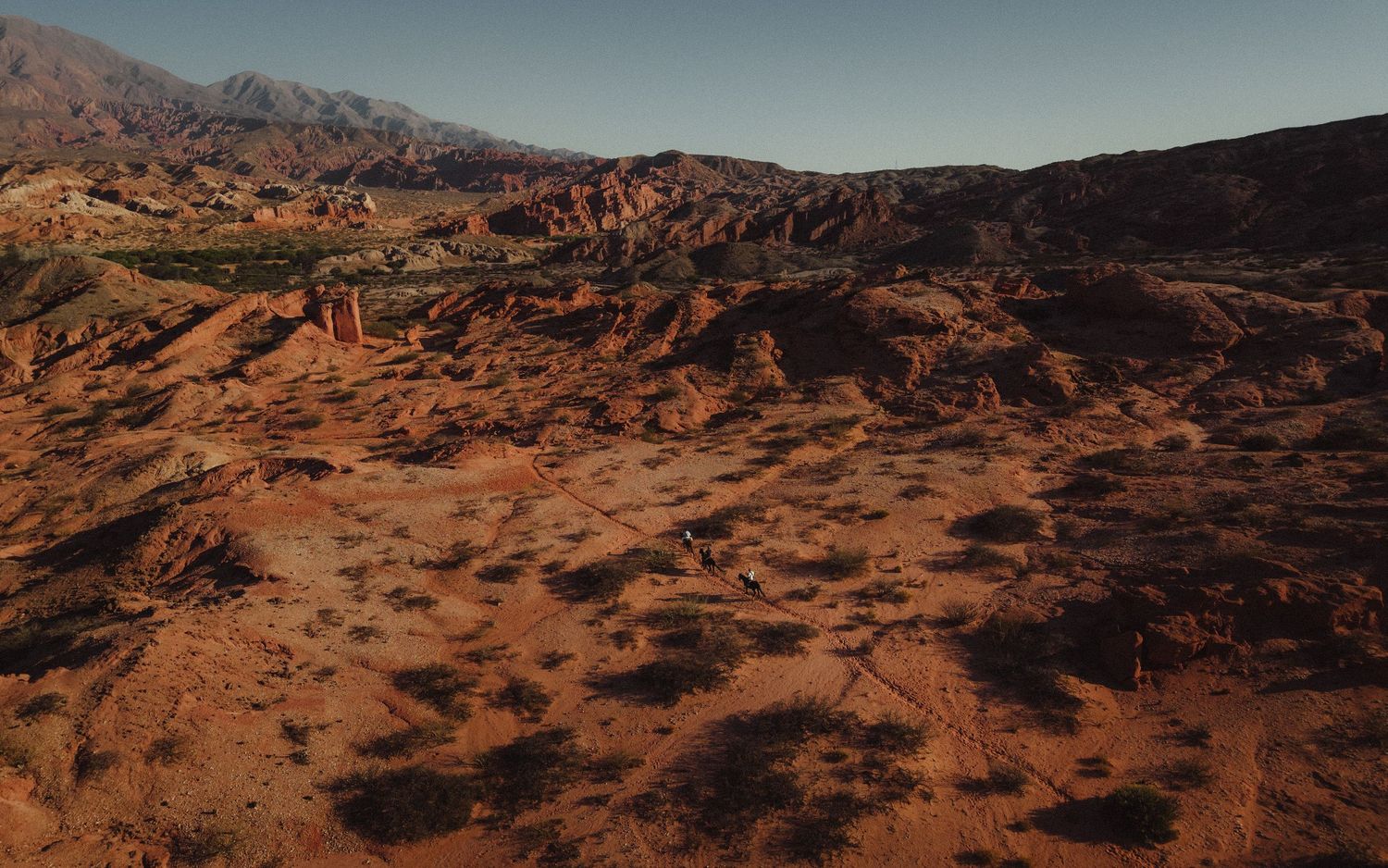 Panoramic view of red rock desert landscape with mountains in the background.