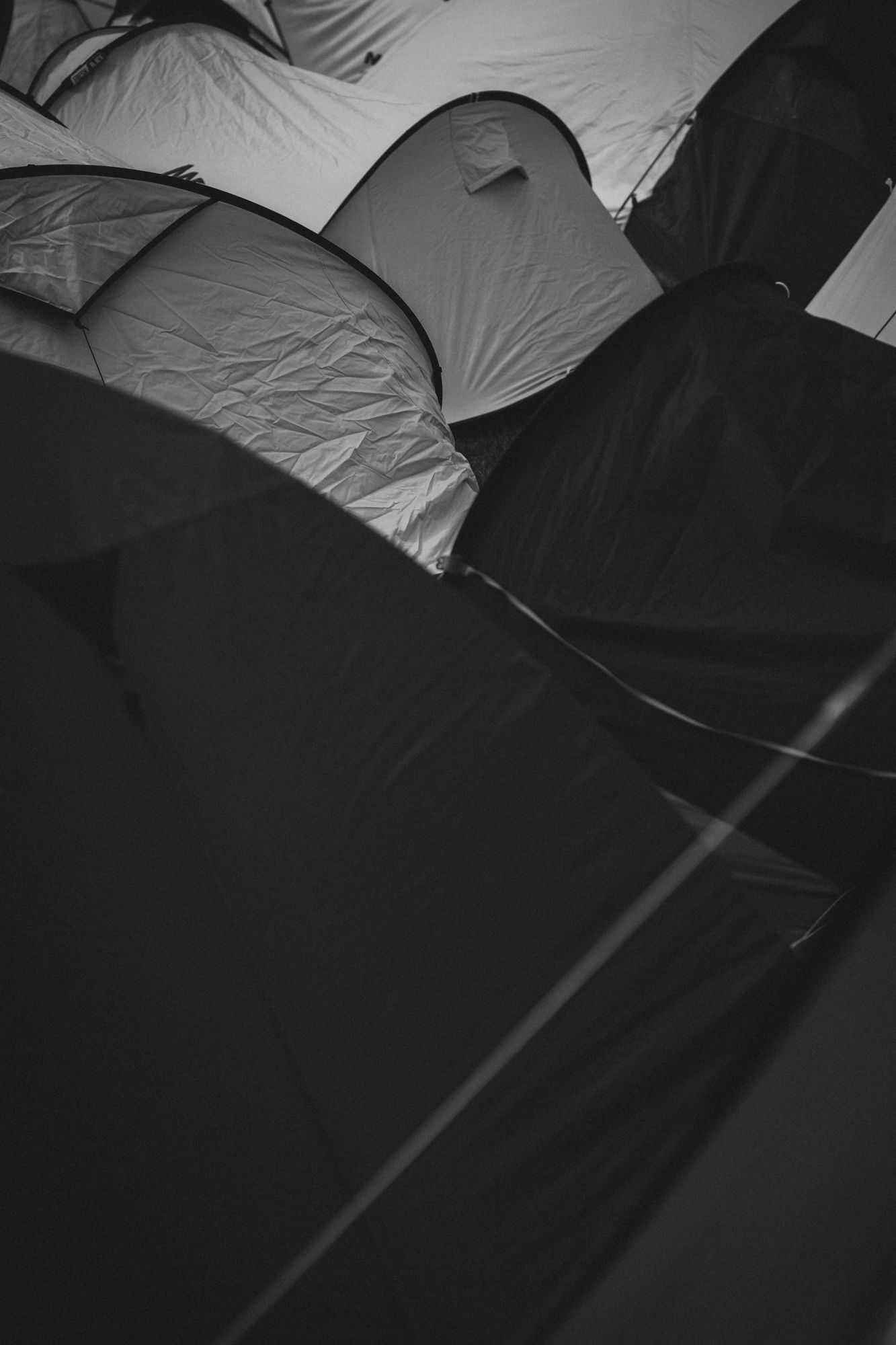Black and white aerial view of multiple camping tents packed closely together at an outdoor festival campsite.