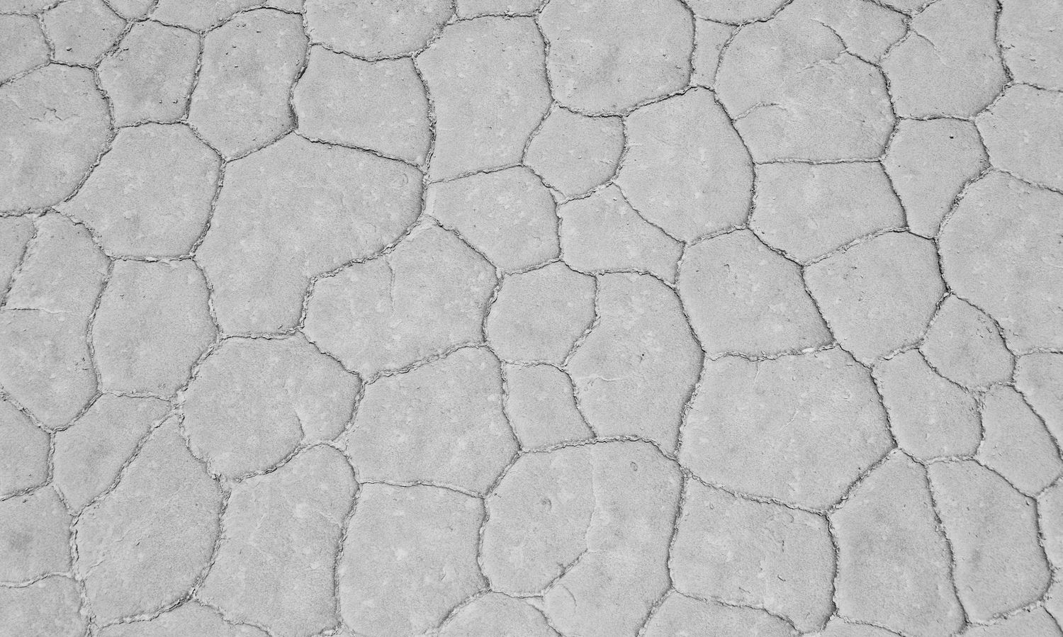 Close-up of cracked dry earth texture in black and white, showing natural geometric patterns in arid desert ground.