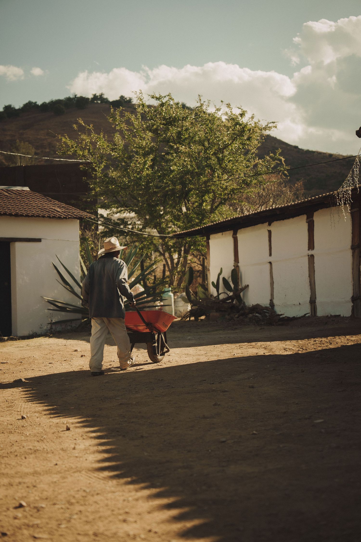 Elderly farmer pushing a red wheelbarrow past white adobe buildings in a rural Latin American village.