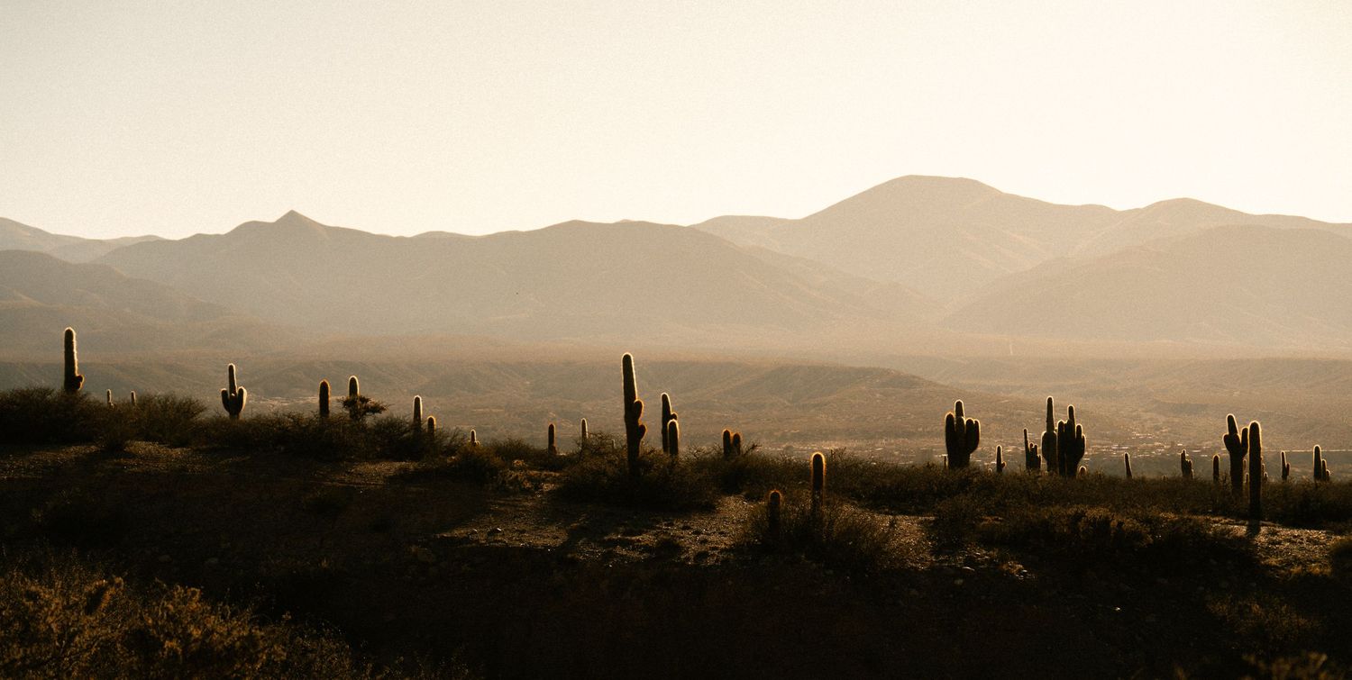Desert landscape panorama with mountains and cactus silhouettes at sunset.