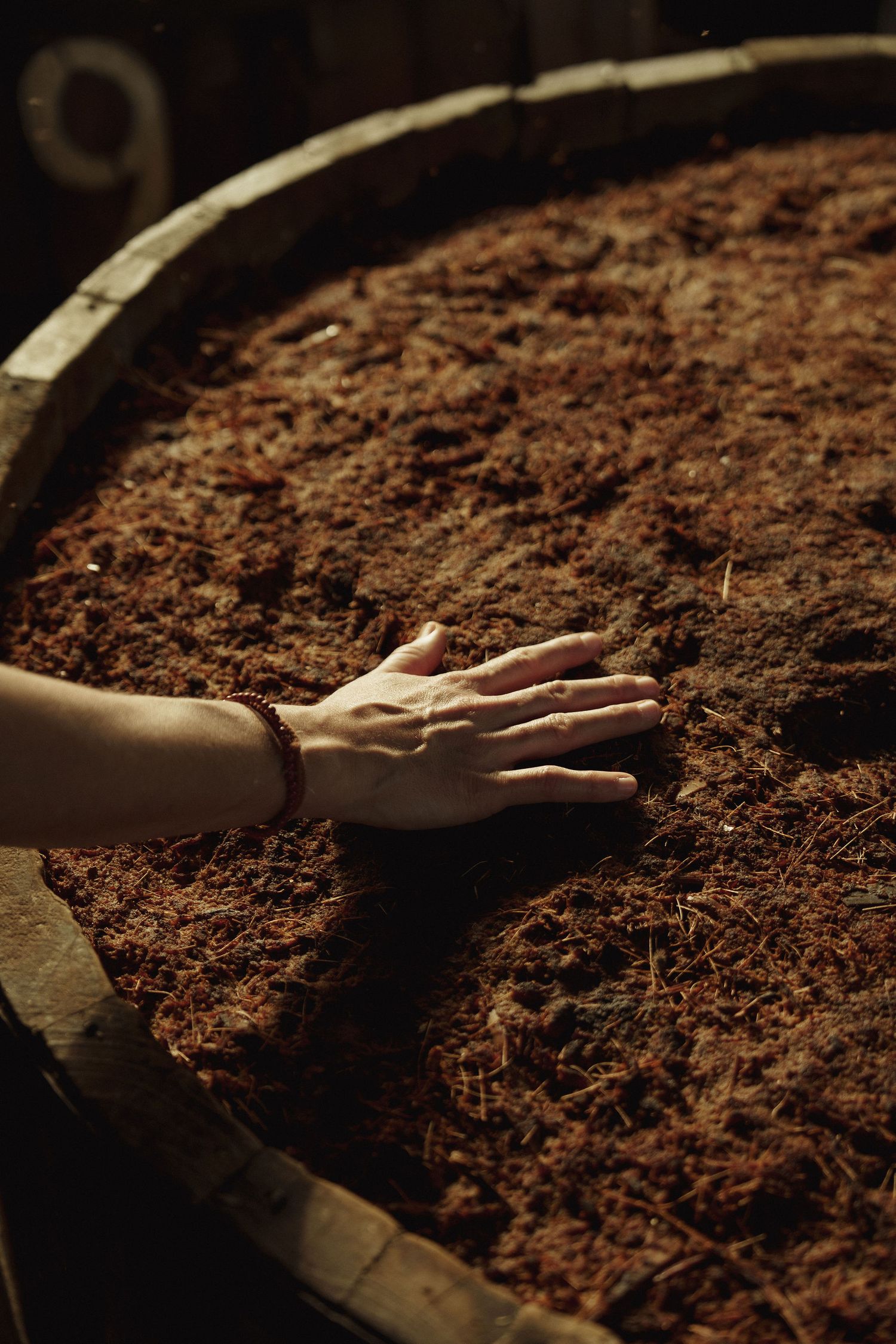 A hand with a bracelet rests on grape pomace in a wooden fermentation barrel during winemaking.