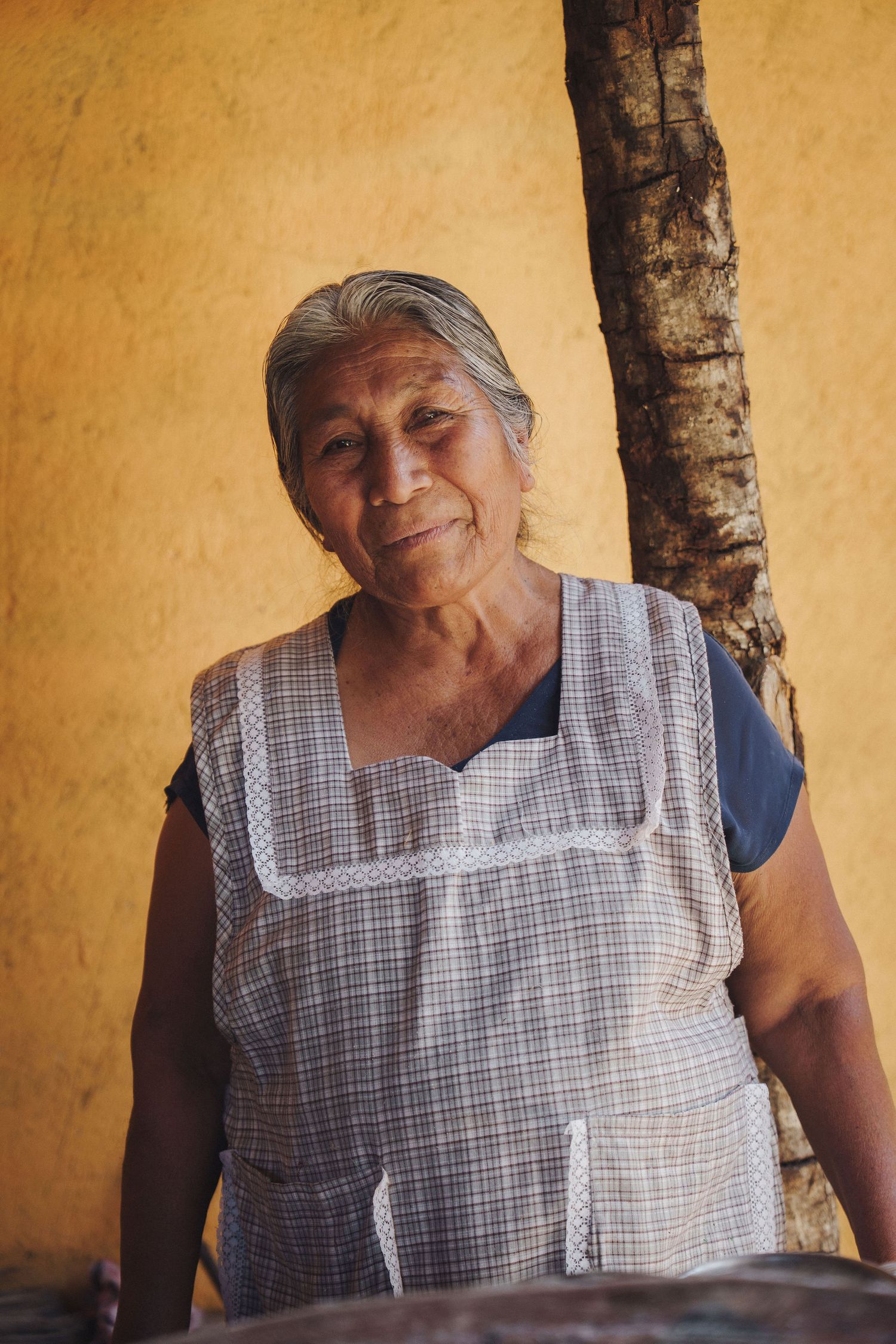 Elderly Latin woman in checkered apron stands by yellow wall and tree trunk, looking at camera with calm expression.