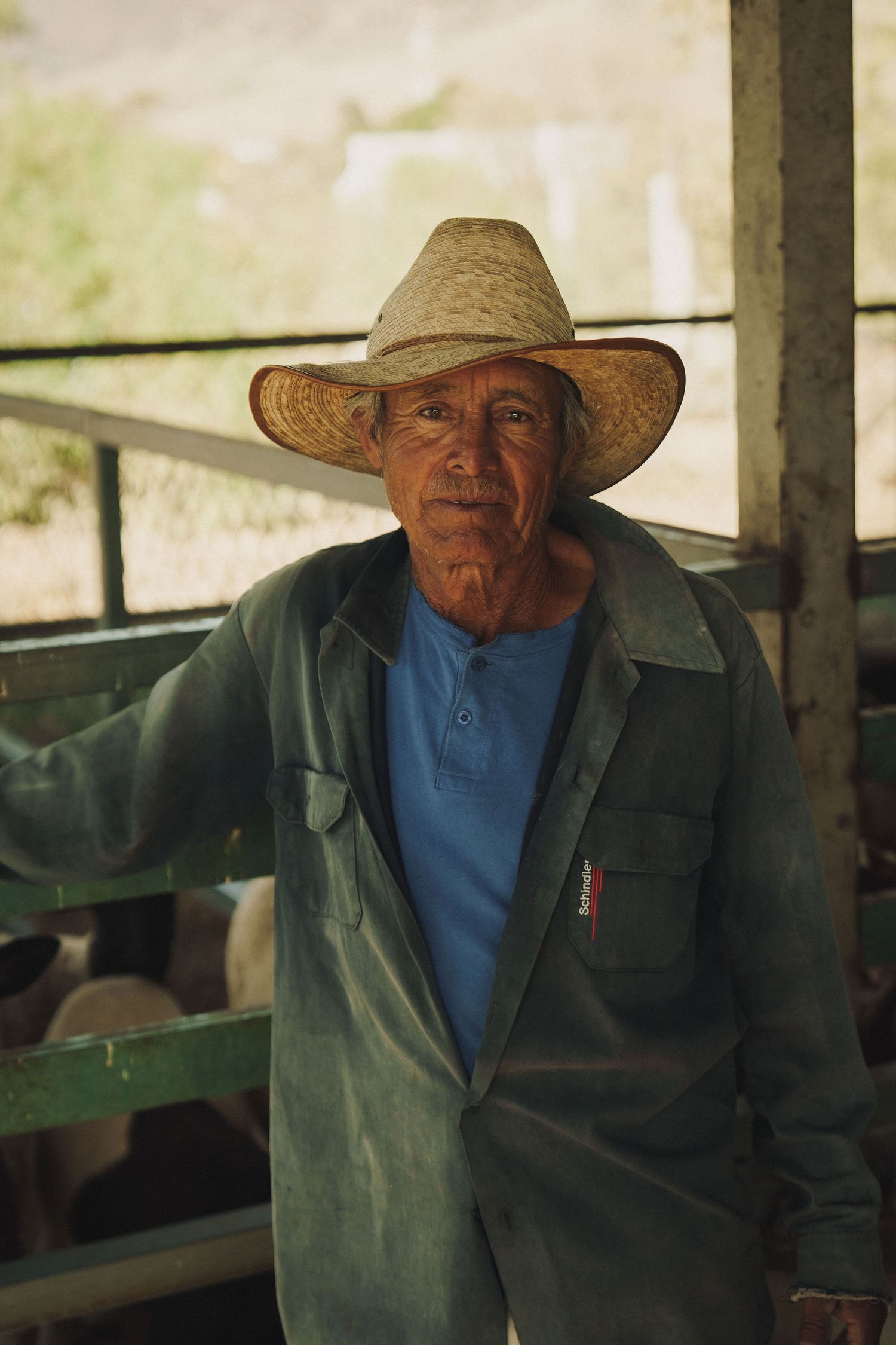 Elderly farmer in straw hat and green jacket stands in a livestock barn, looking at the camera.
