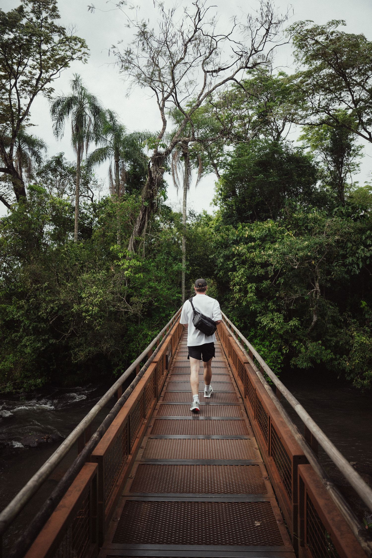 Person walking across a narrow metal bridge surrounded by lush tropical forest greenery.