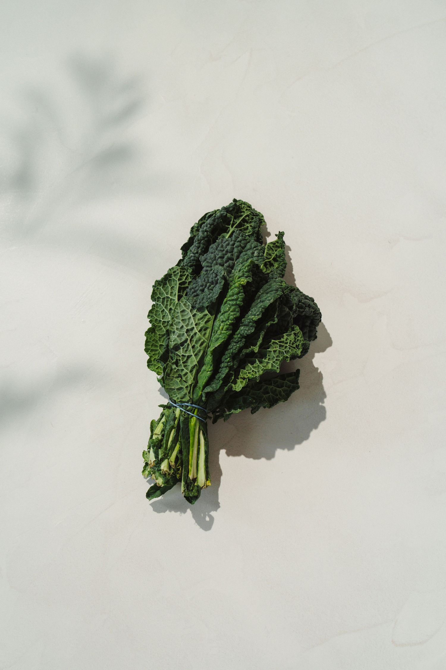 A fresh bundle of dark green kale tied together, placed on a light gray surface with soft leaf shadows.
