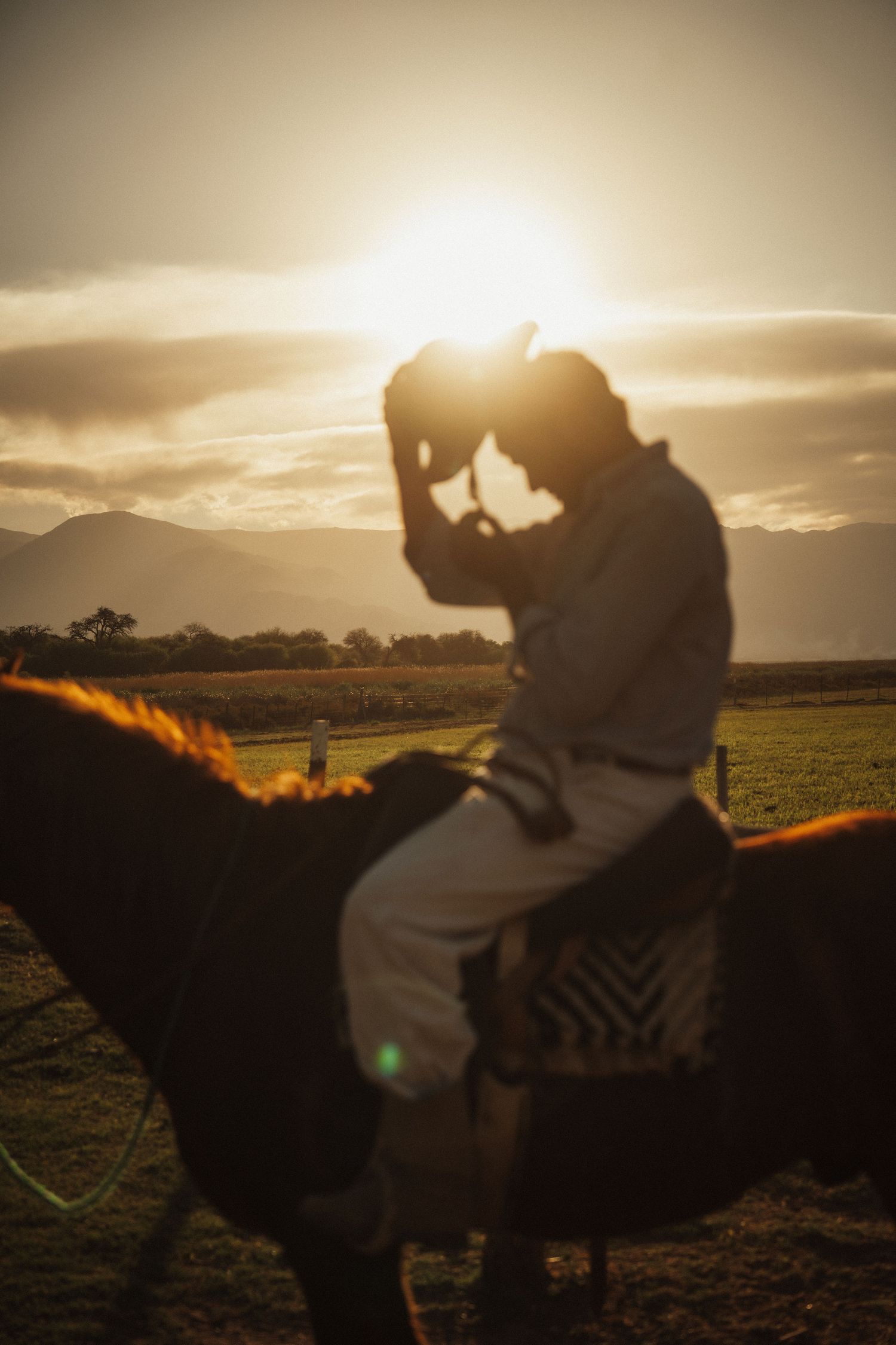 Silhouette of a cowboy on horseback adjusting his hat during a golden sunset with mountains in the background.