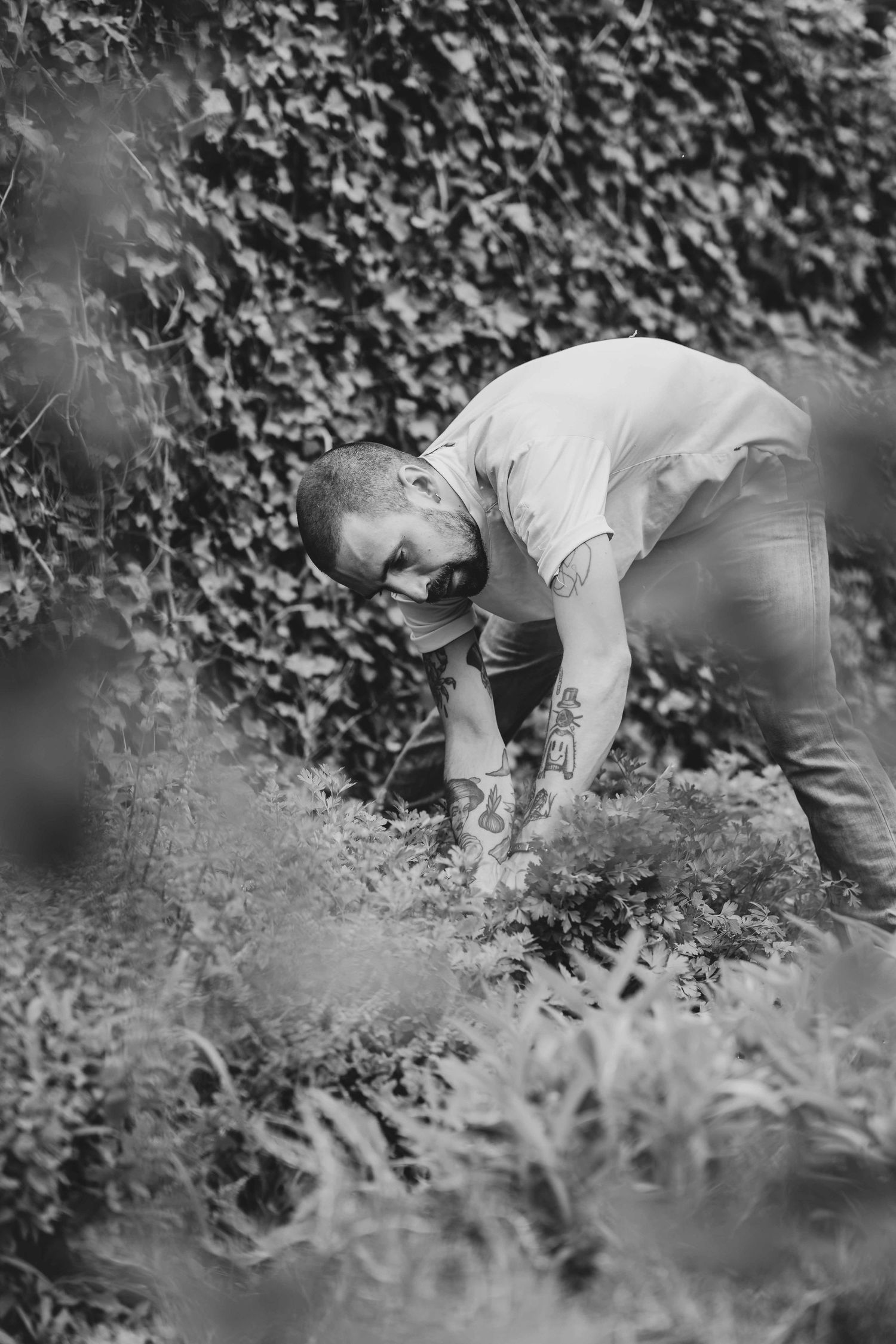 Black and white photo of a tattooed man bending over to tend plants in a lush ivy-covered garden.