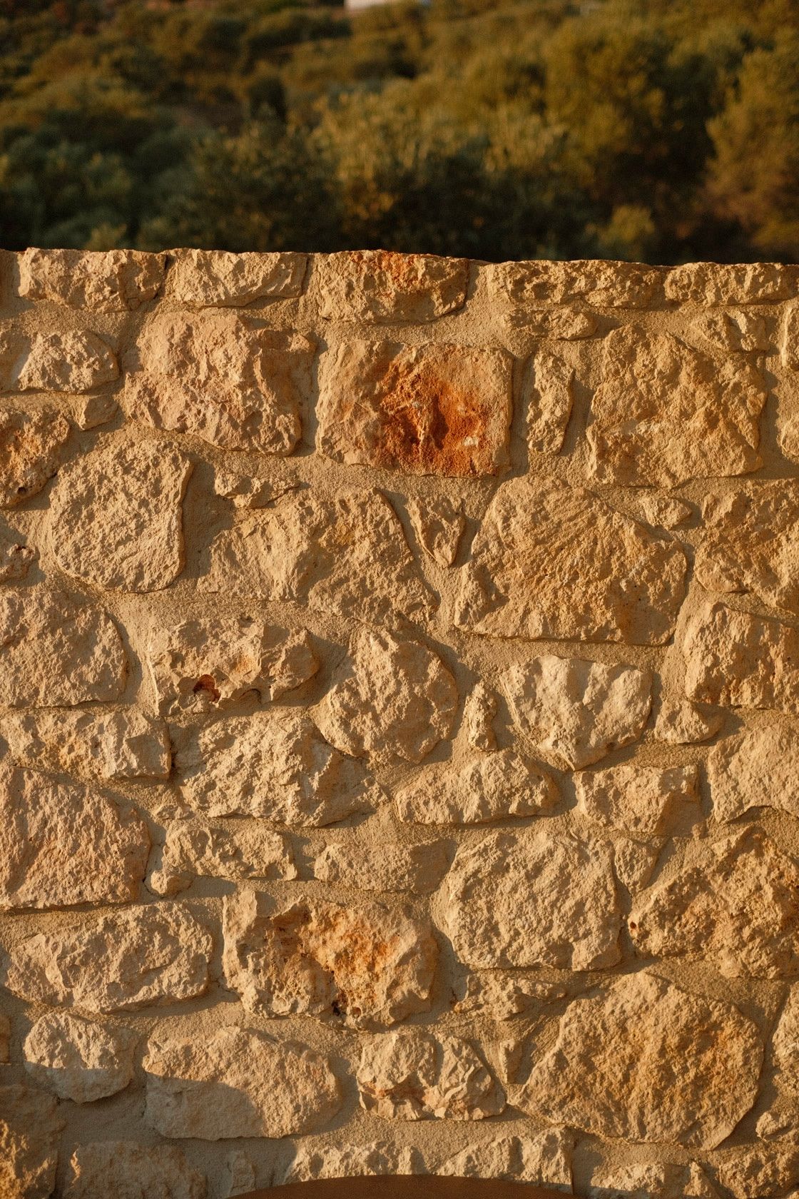 Close-up of a rustic golden limestone stone wall with green trees visible in the background at sunset.