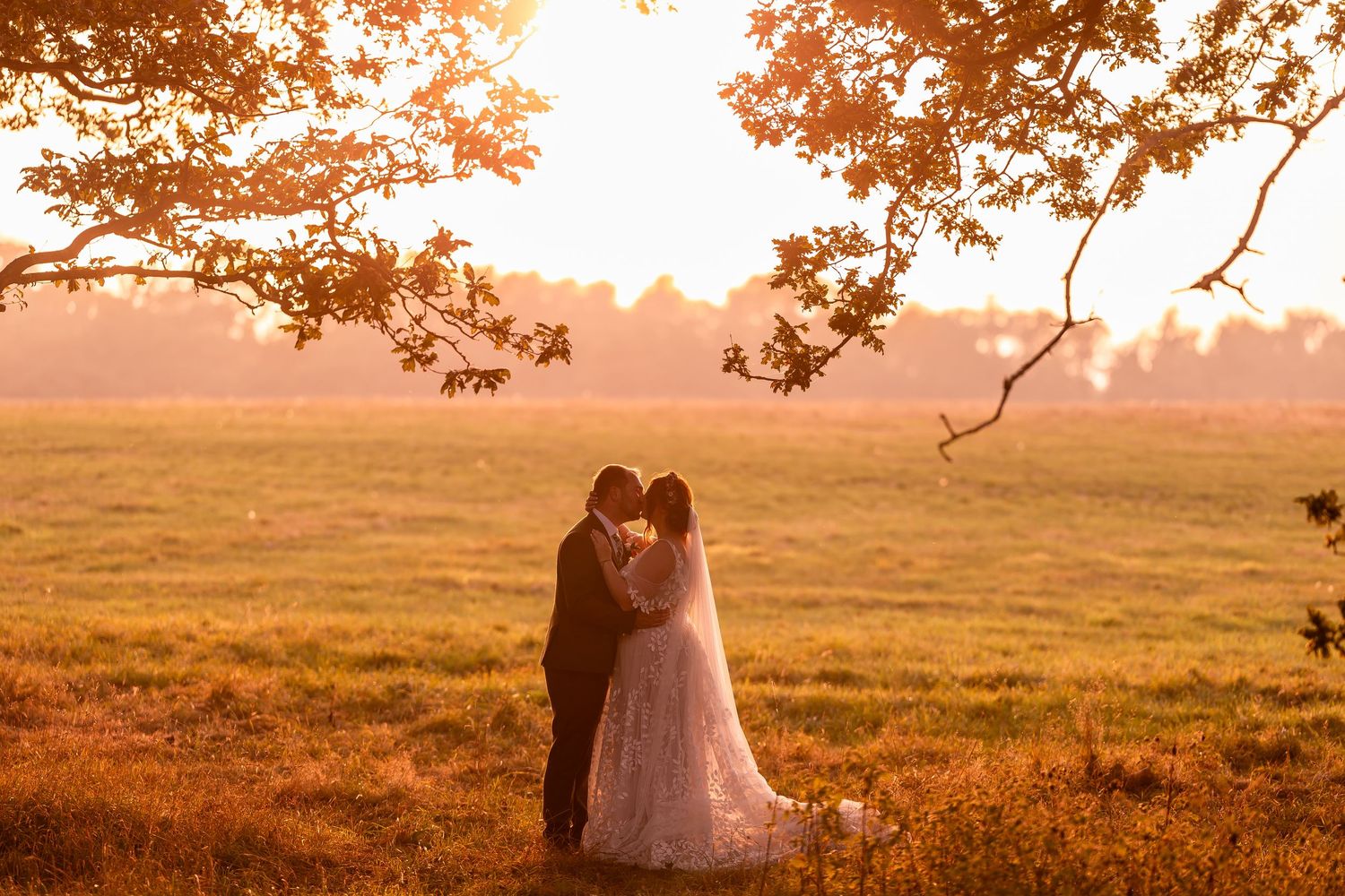 A silhouetted couple stands together in a golden sunset-lit field framed by tree branches.