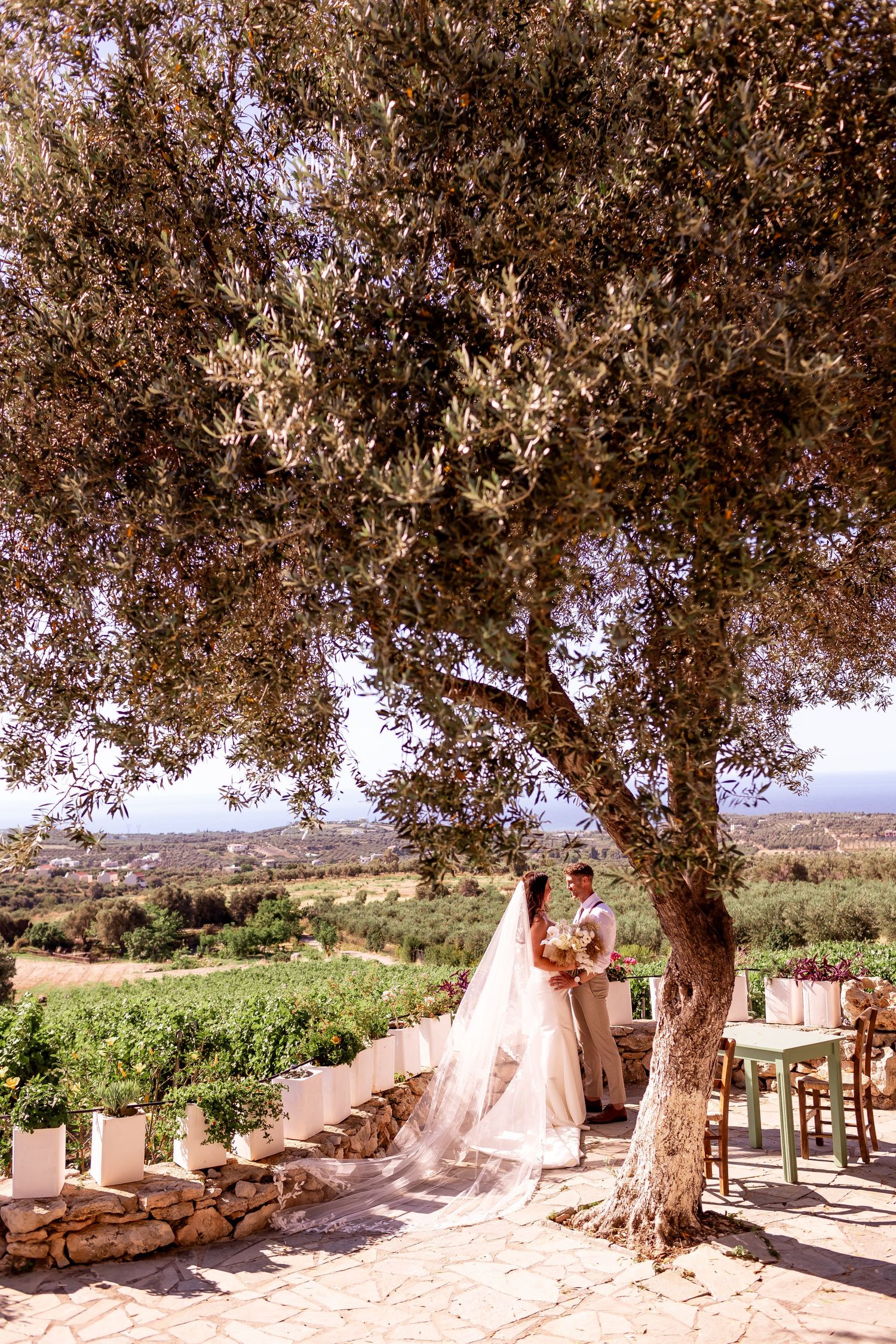 A wedding scene under a large olive tree overlooking a scenic countryside landscape.