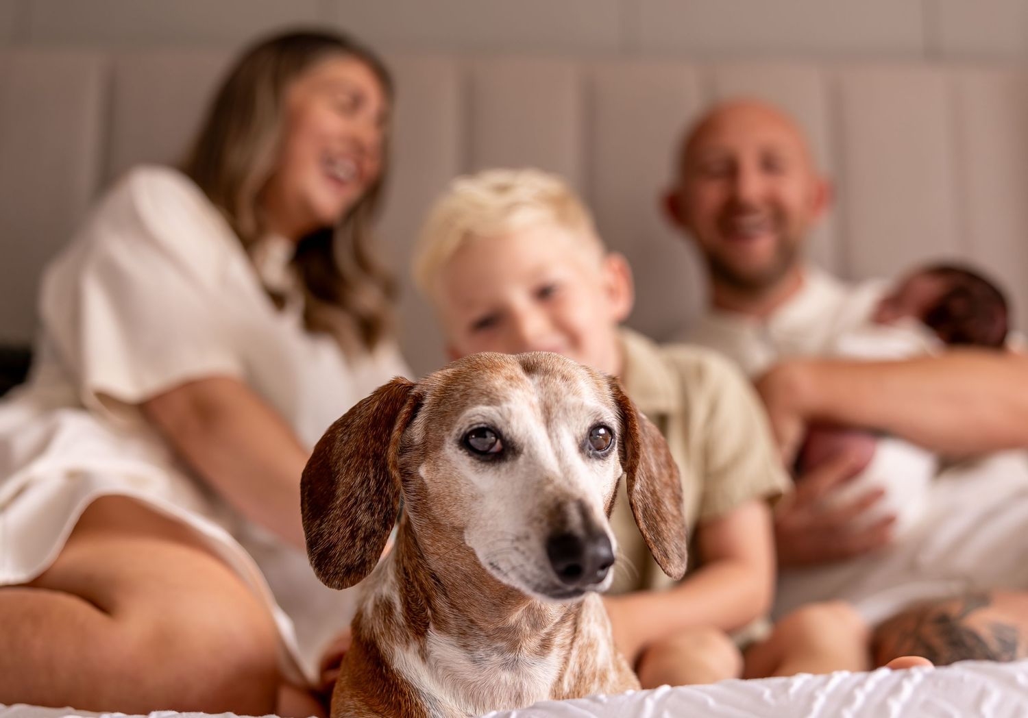 Family relaxing on bed with senior dachshund dog in foreground.
