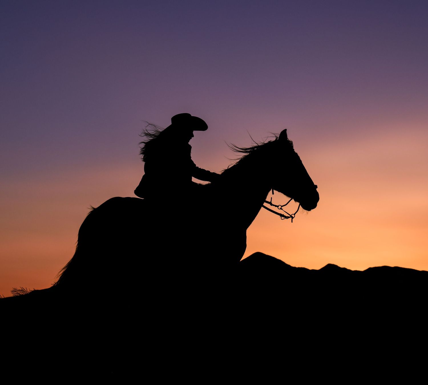 Silhouette portrait - girl on her horse