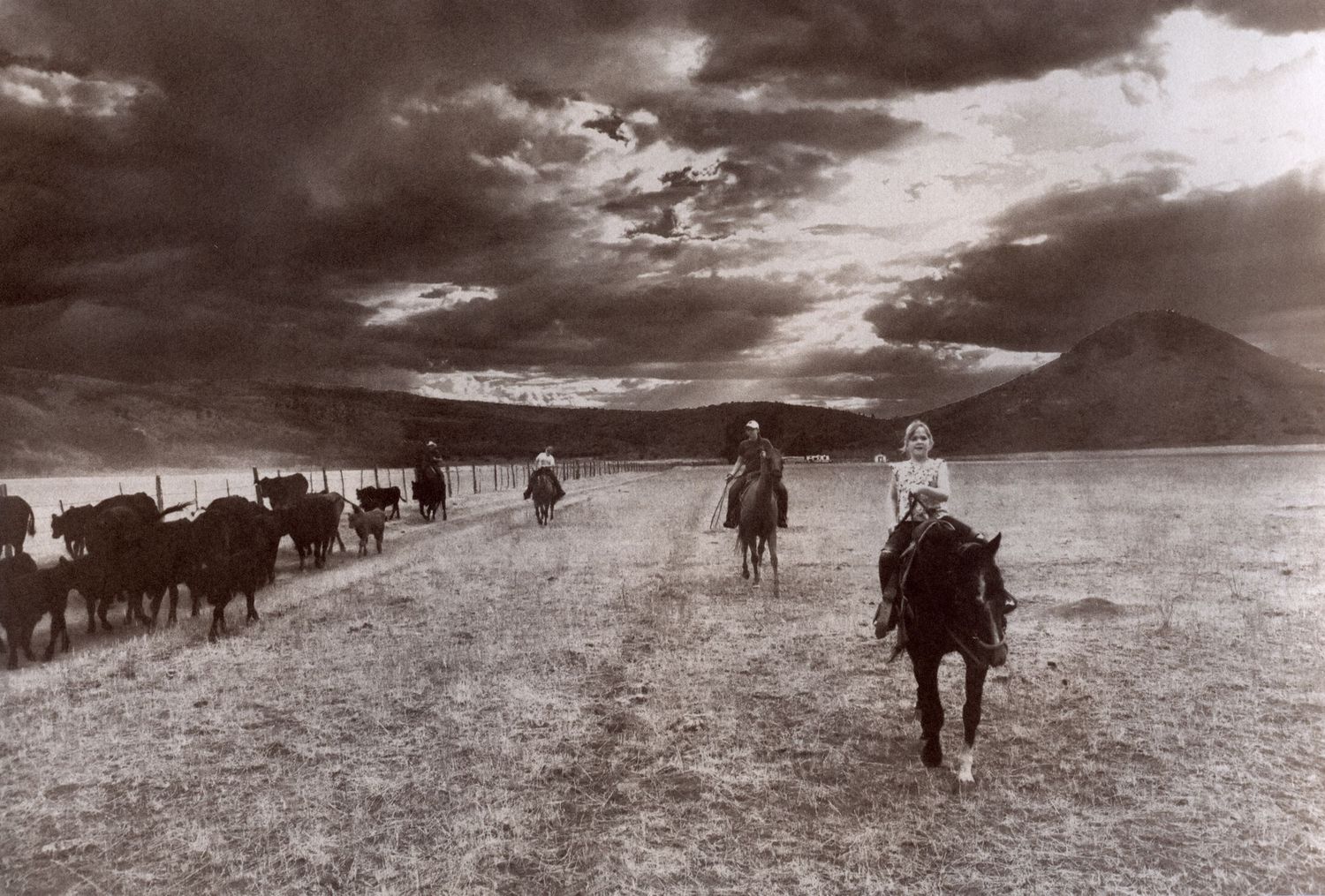salt print using cow salt, photo of gathering cows on horses