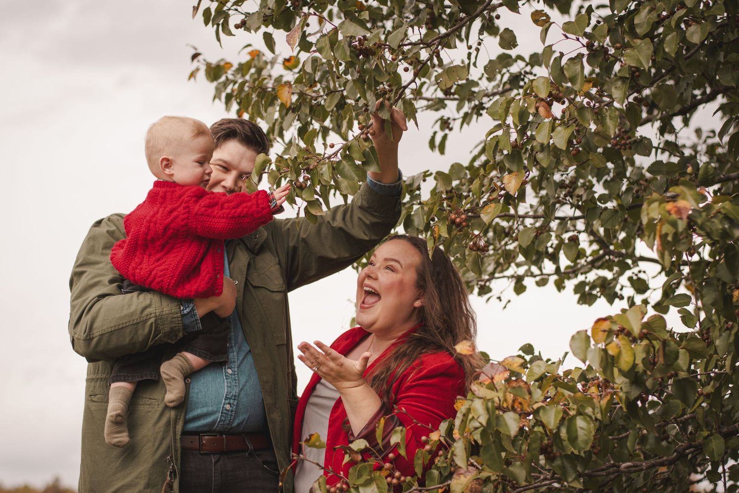 Family with baby picking apples from a tree outdoors in autumn, wearing red scarves and cozy jackets.