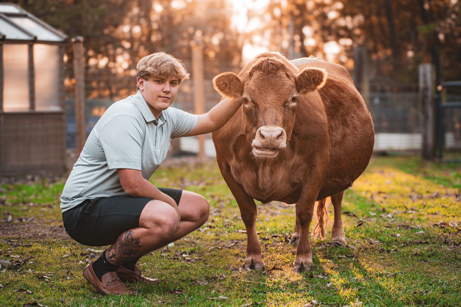 Teenage boy crouches beside brown cow in sunlit farm pasture.