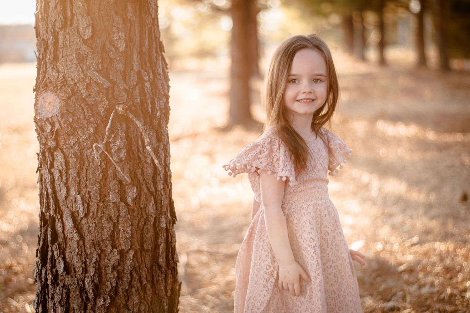 Adorable young girl in a pink lace dress standing near a tree in golden sunlight.