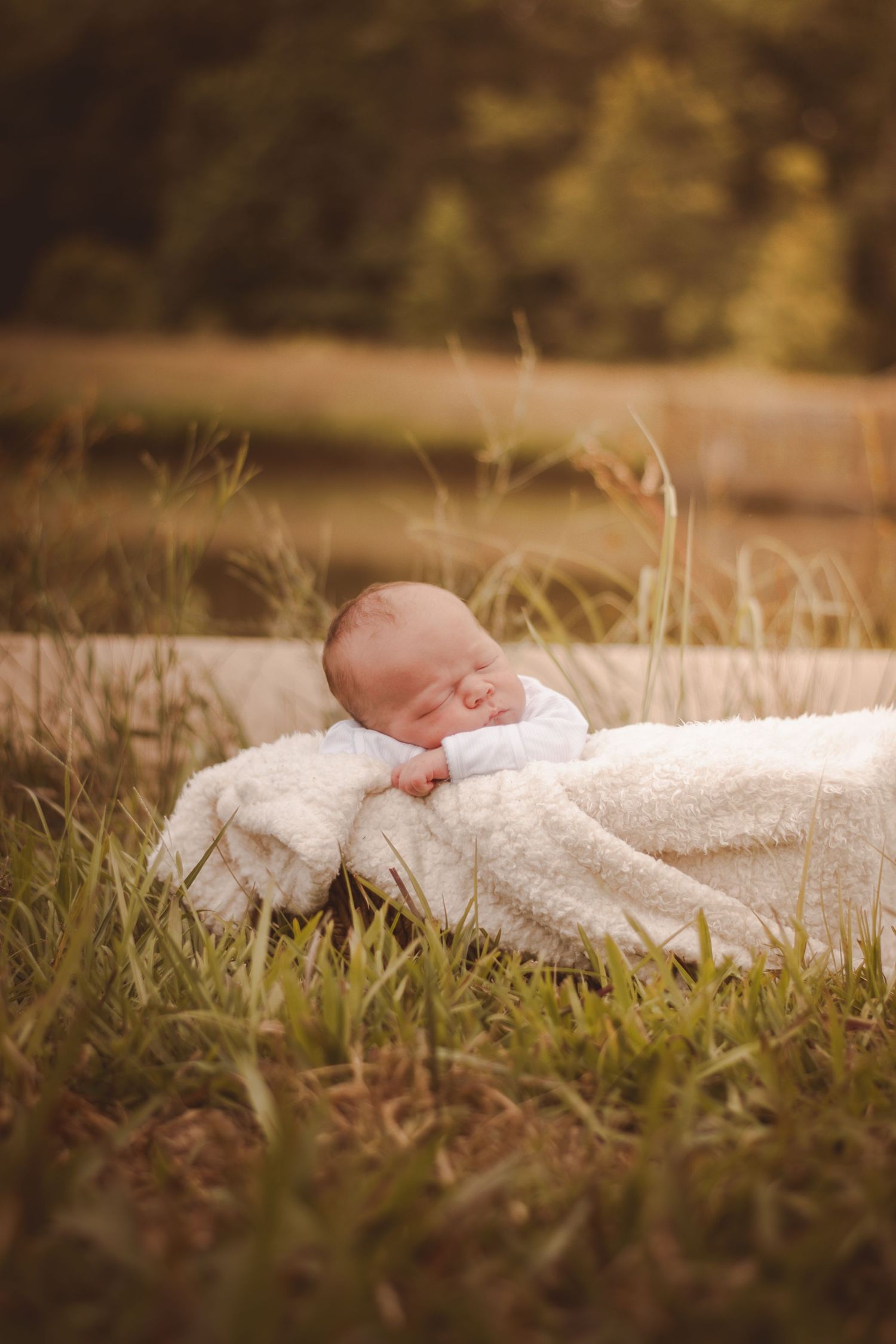 Peaceful newborn baby sleeping outdoors wrapped in a soft white blanket nestled in green grass with a warm bokeh background.